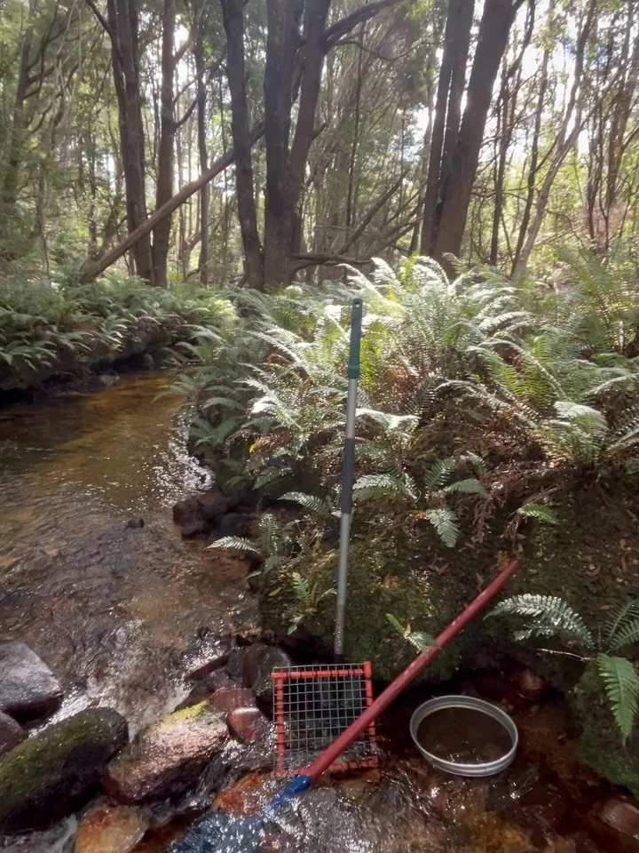 where we&rsquo;d rather be ⚒️💎🌿

best finds of the trip on the last slide ✨