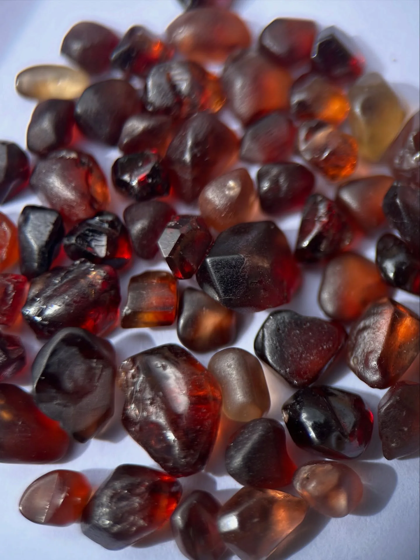 Before &amp; After 🔥

We&rsquo;ll never get over how amazing these fiery Tasmanian zircons turn out when they are cut! 

These stones are completely natural and untreated! Their vibrant colours paired with their incredible sparkle make them pretty h