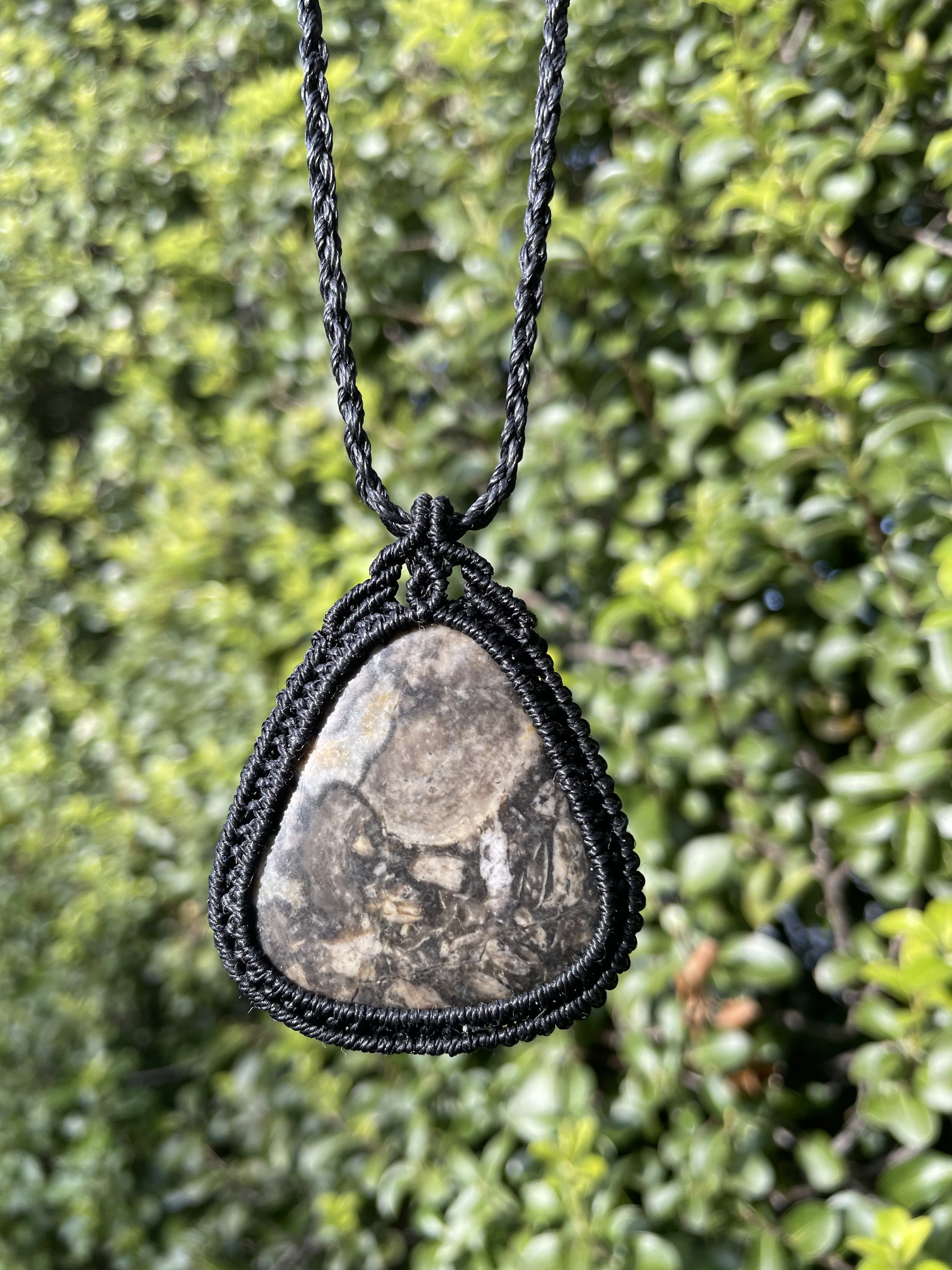 tasmanian jasper