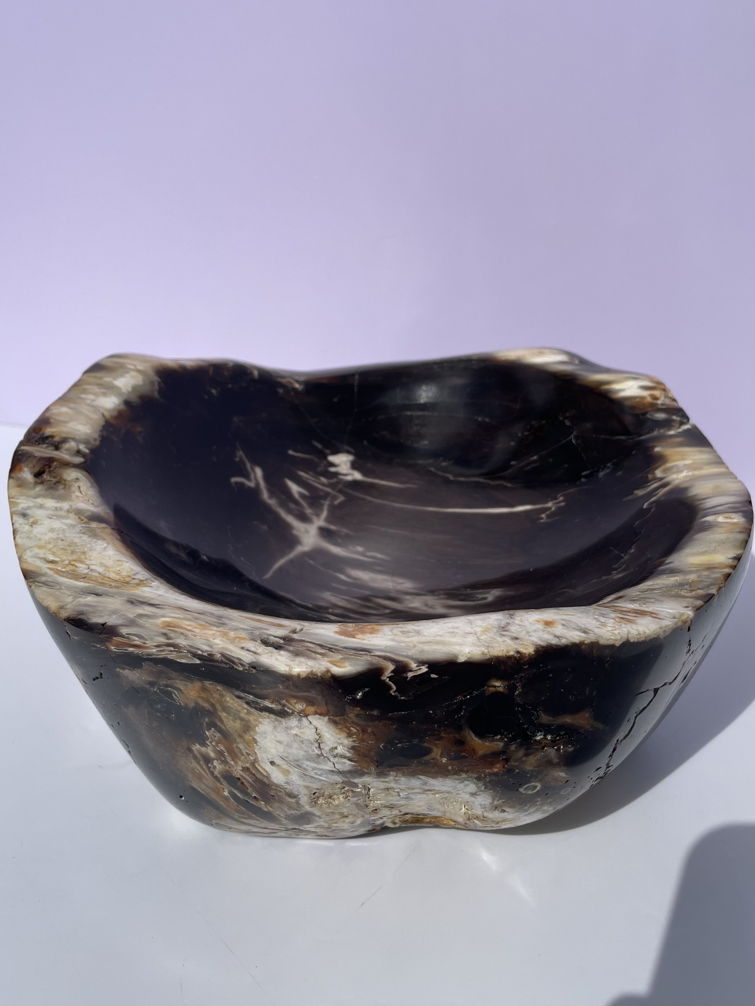 tasmanian opalized wood
