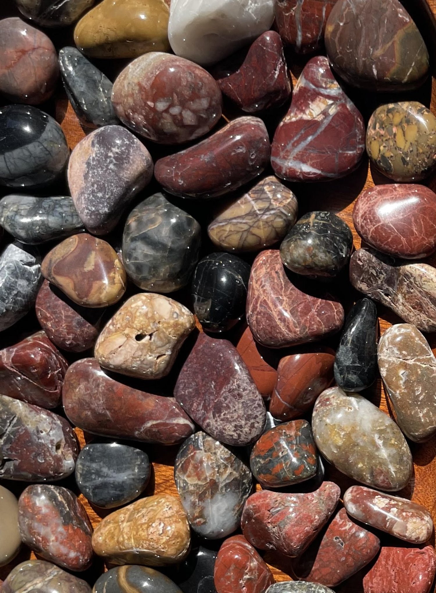 Small Tasmanian Jasper tumbles