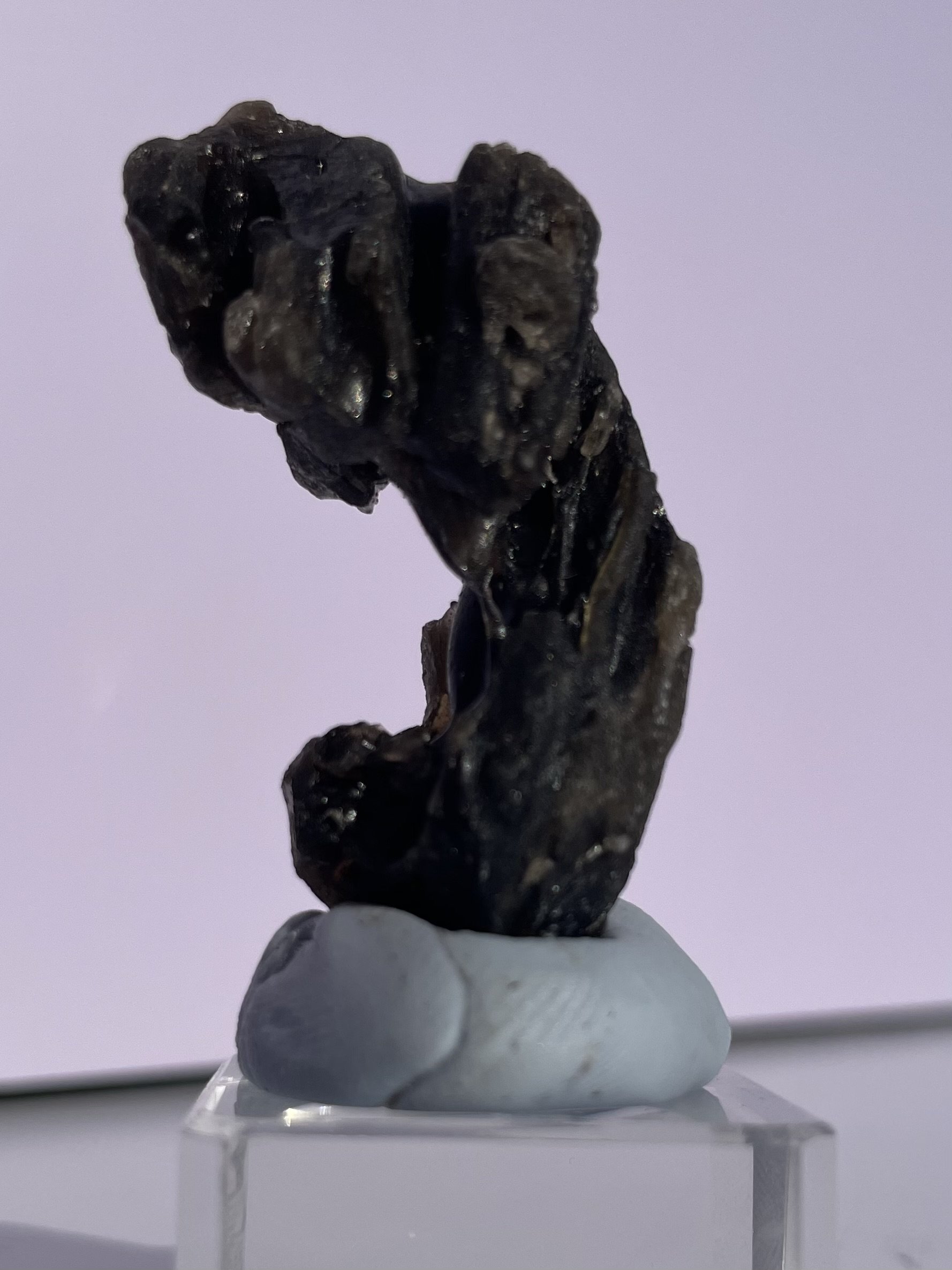 Tasmanian Darwin Glass - 13 grams