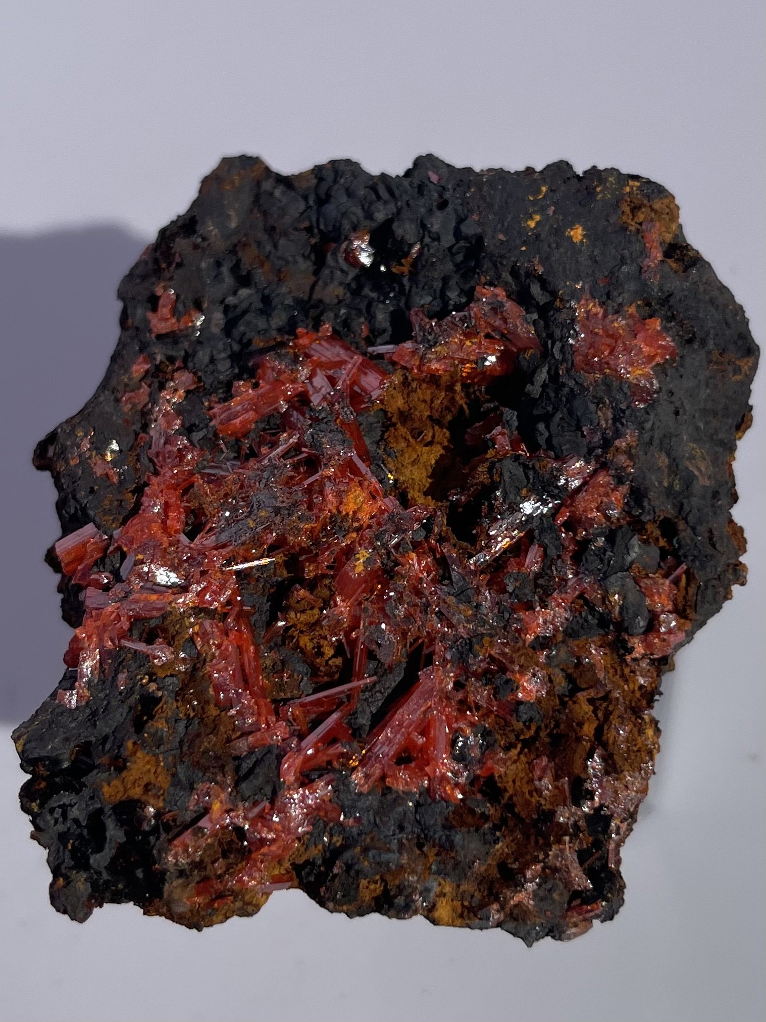 Tasmanian Crocoite
