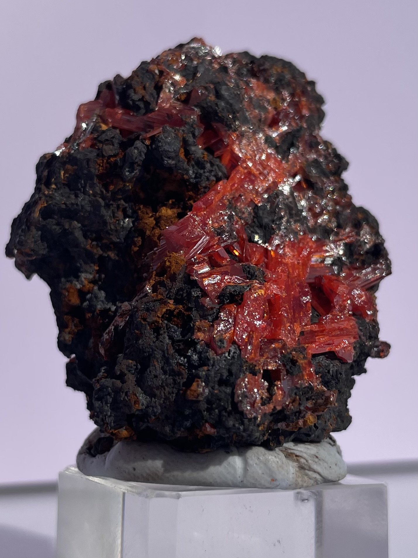 Tasmanian Crocoite