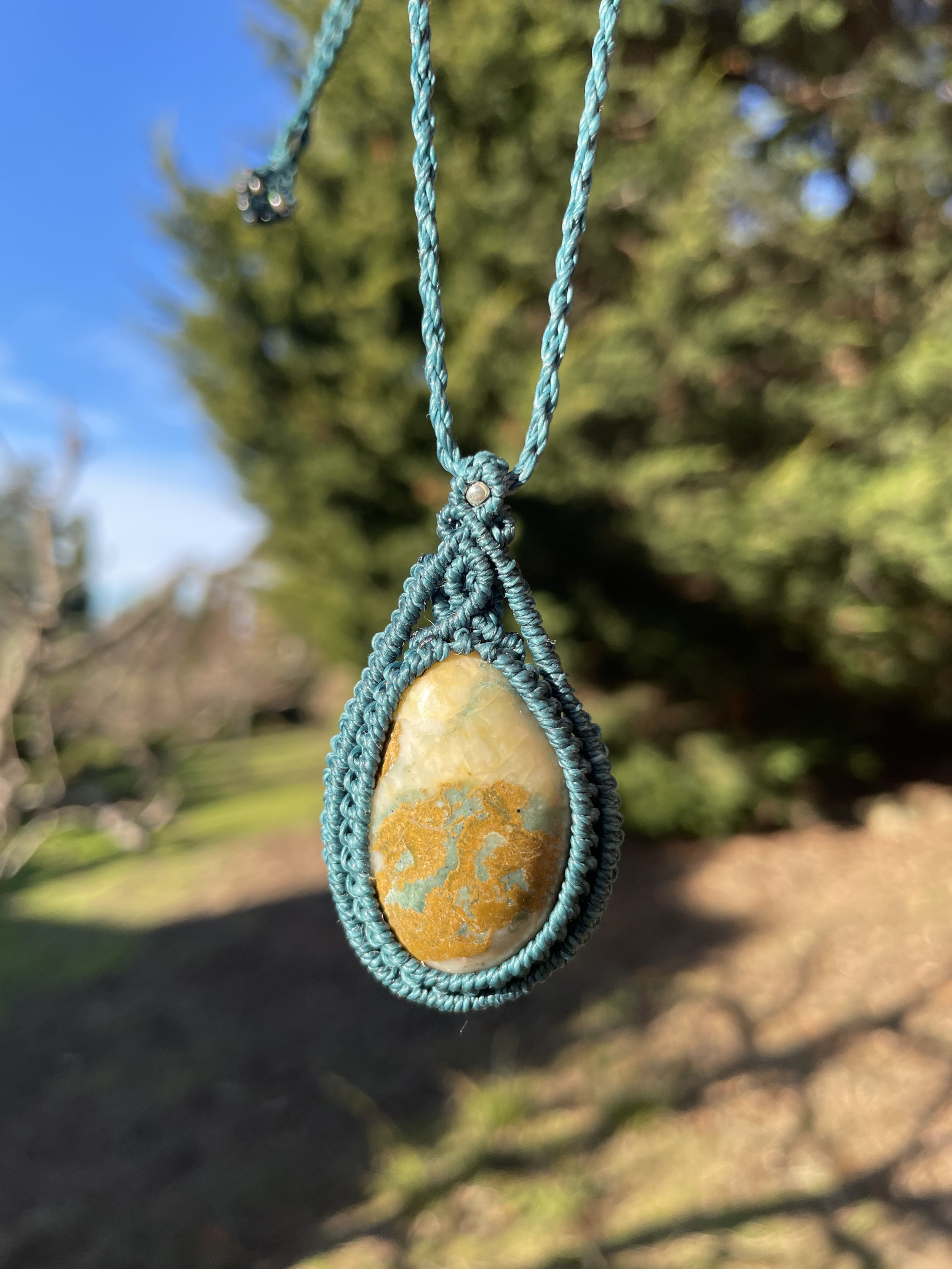 tasmanian jasper