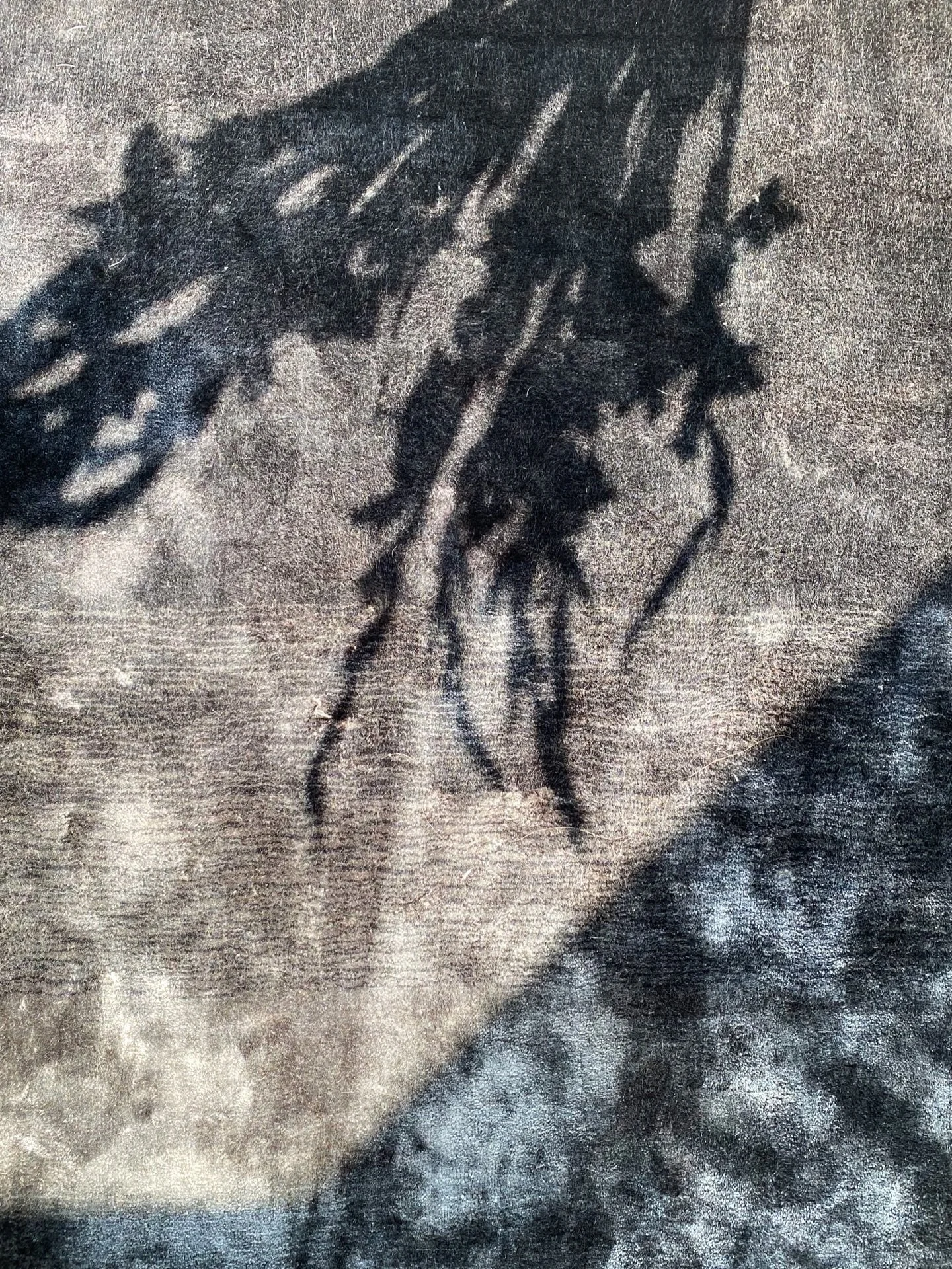 A moment of light&hellip; making the space feel alive. 

#studiokravt