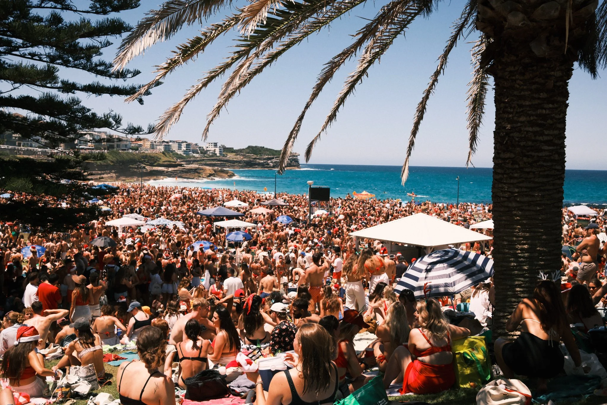 A Very Bronte Christmas