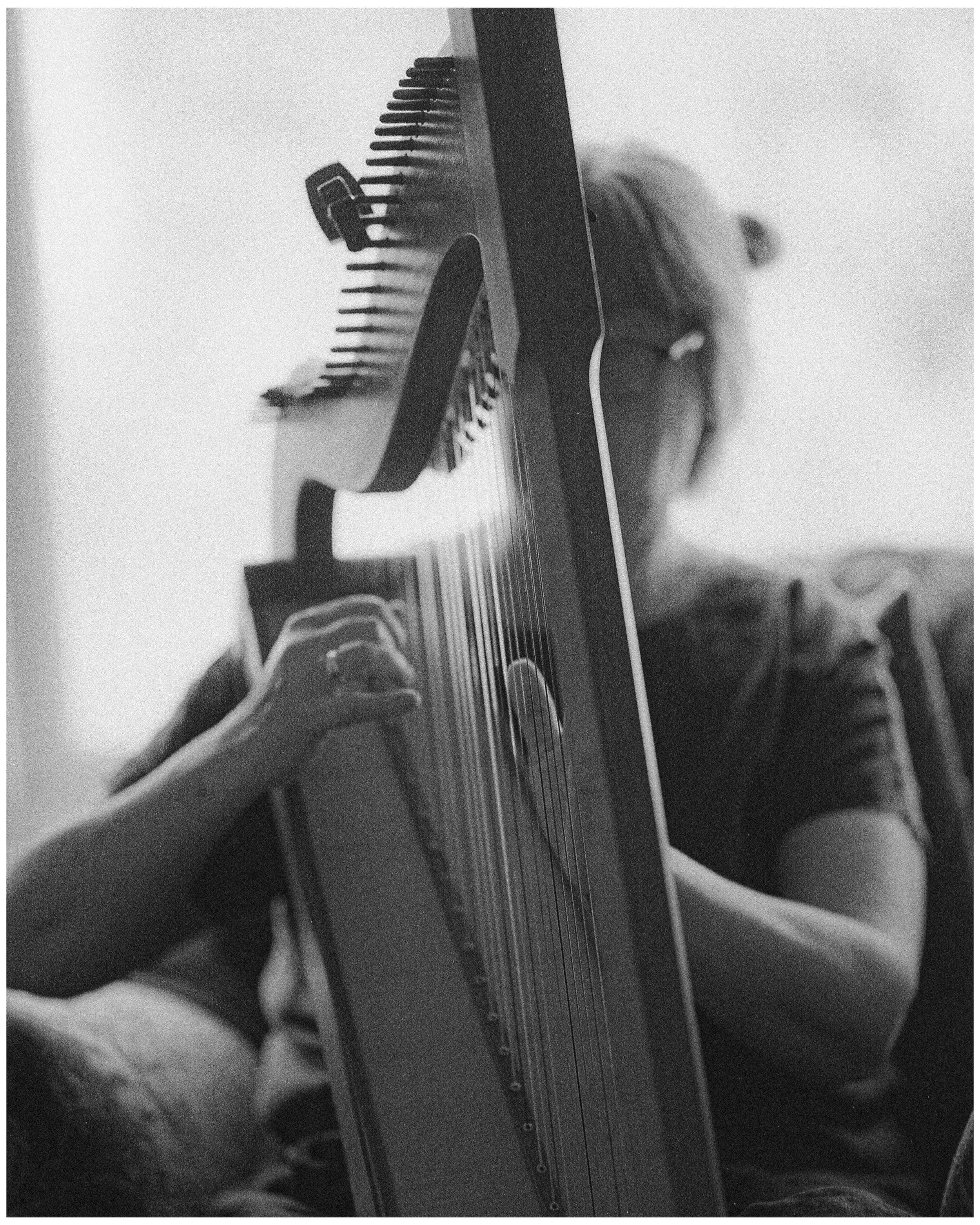 theharp.jpg