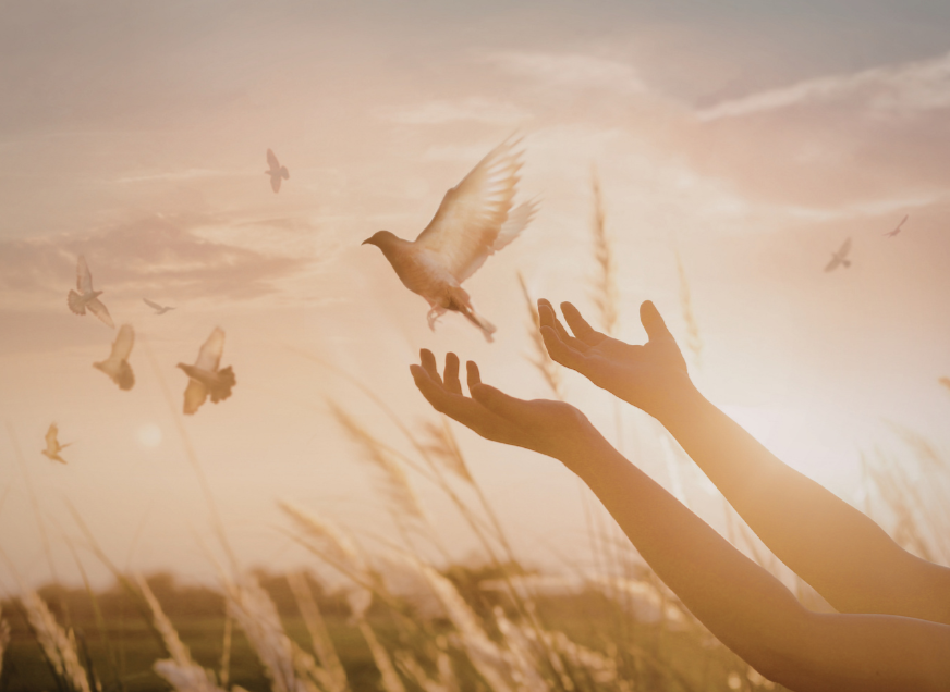Letting go