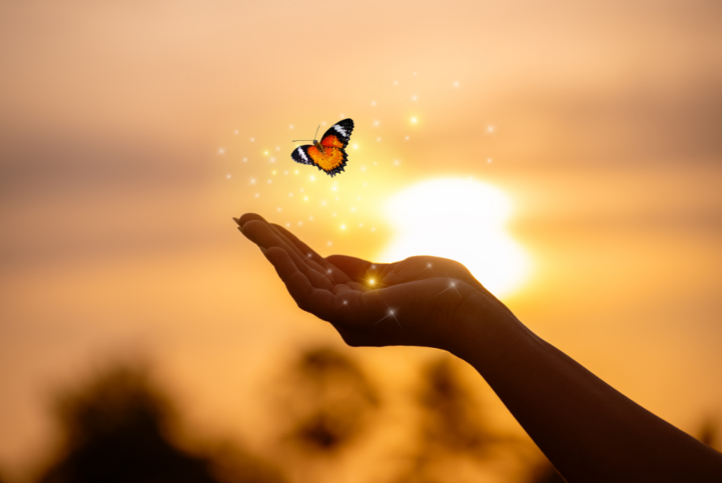 Emotions are the language of the soul