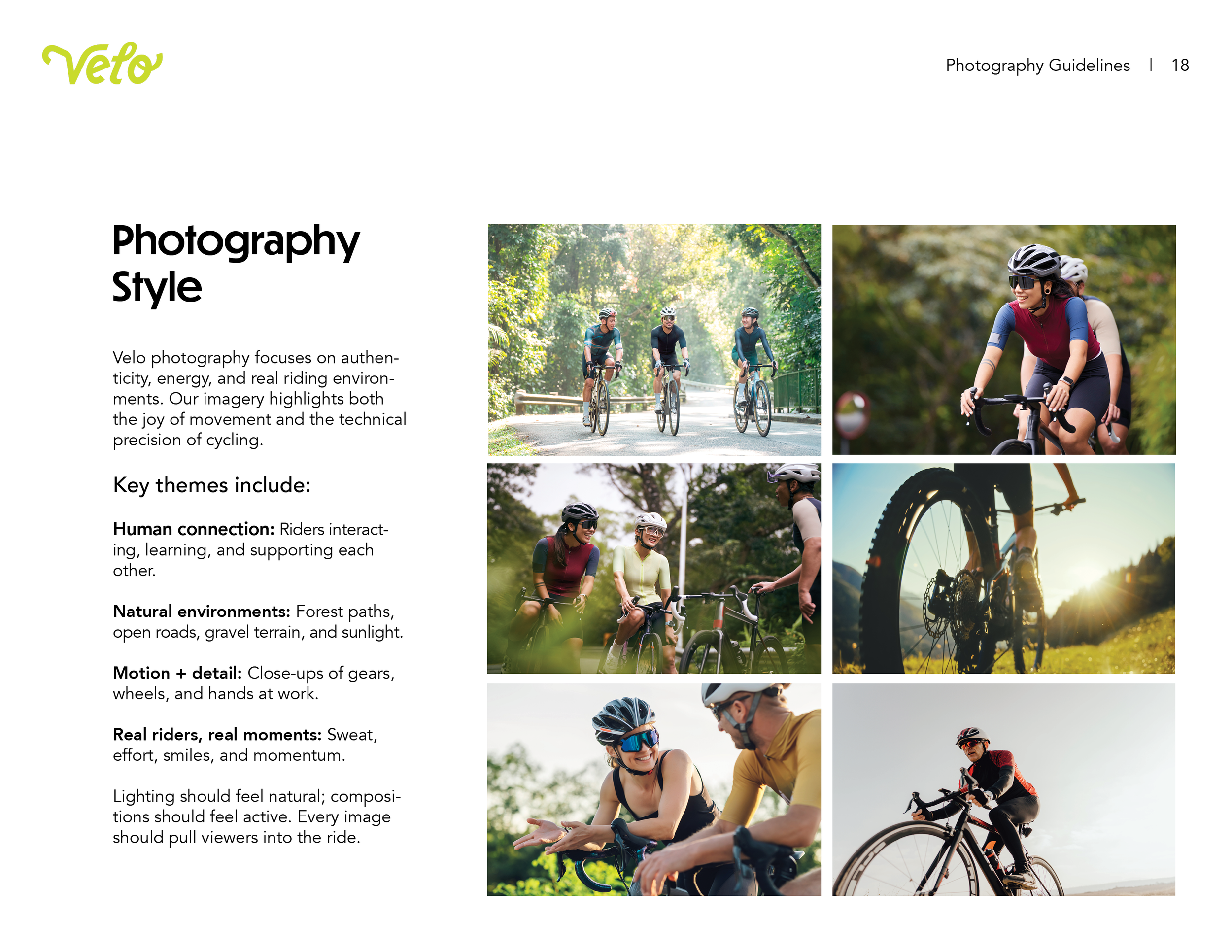 Logo and Mood Board-11.png