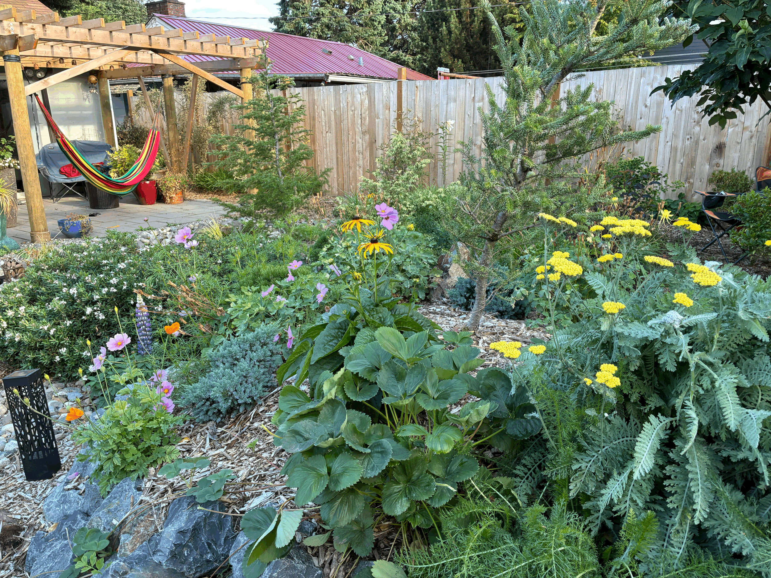 Welcome To My Garden