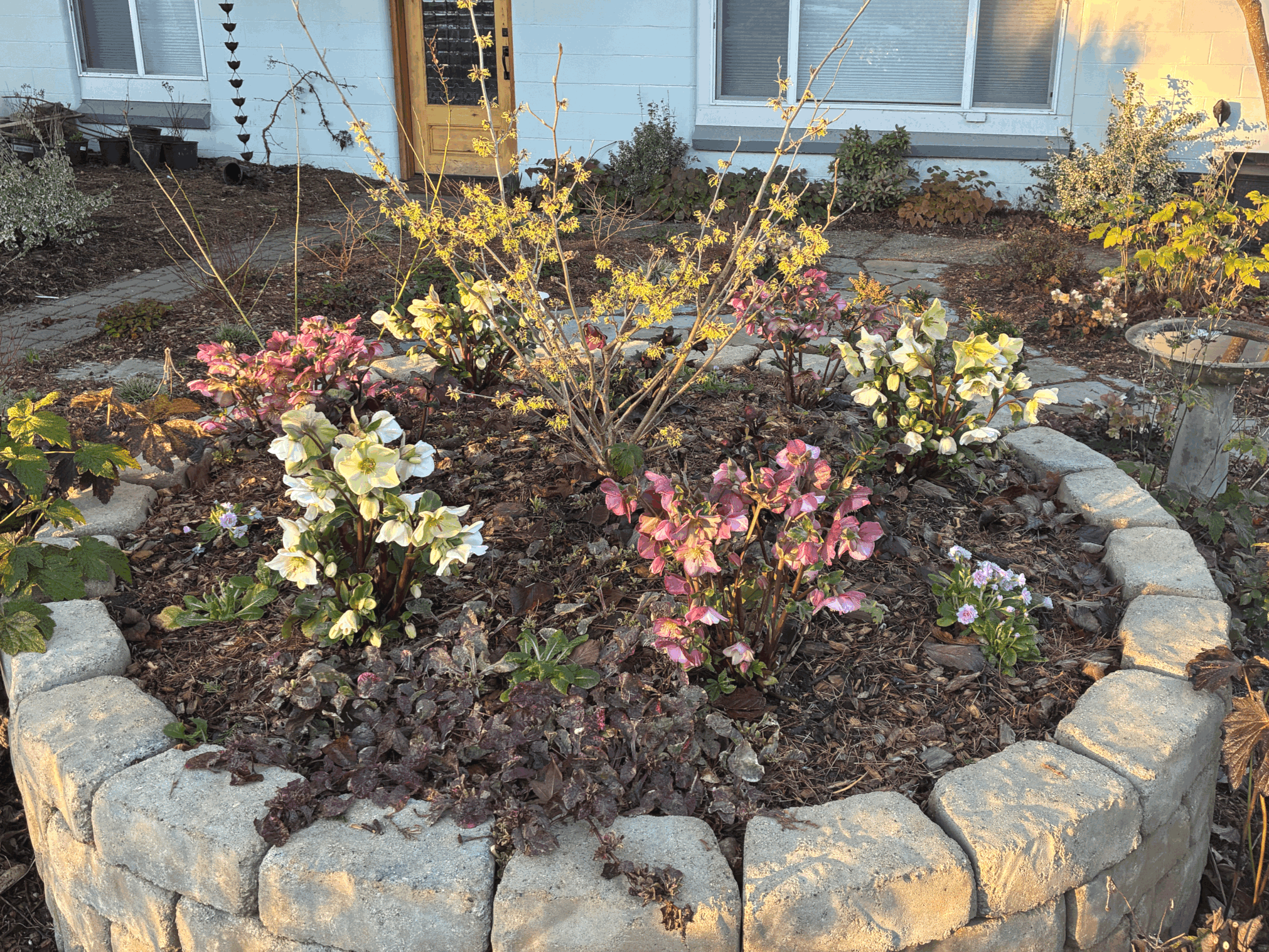 All Hail the Winter Garden!