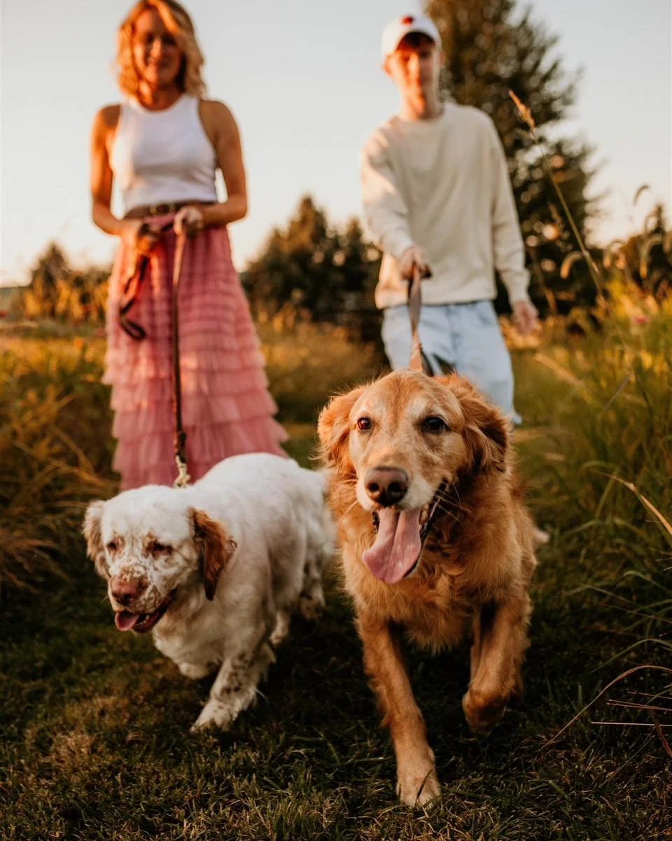 These pups clearly thought the photo shoot was for them 🐾

#clevelandphotographer #clevelandphotographers #loraincounty #clevelandfamilyphotography #clevelandfamilyphotographer
