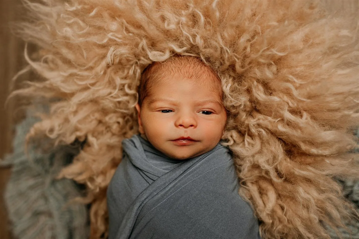 coming from a very large family on my dad&rsquo;s side, it&rsquo;s always extra sweet to be able to capture the family&rsquo;s newest addition every once in a while. Cousins galore over here! Baby J is our grandmas 26th great grandchild, and onyx is 