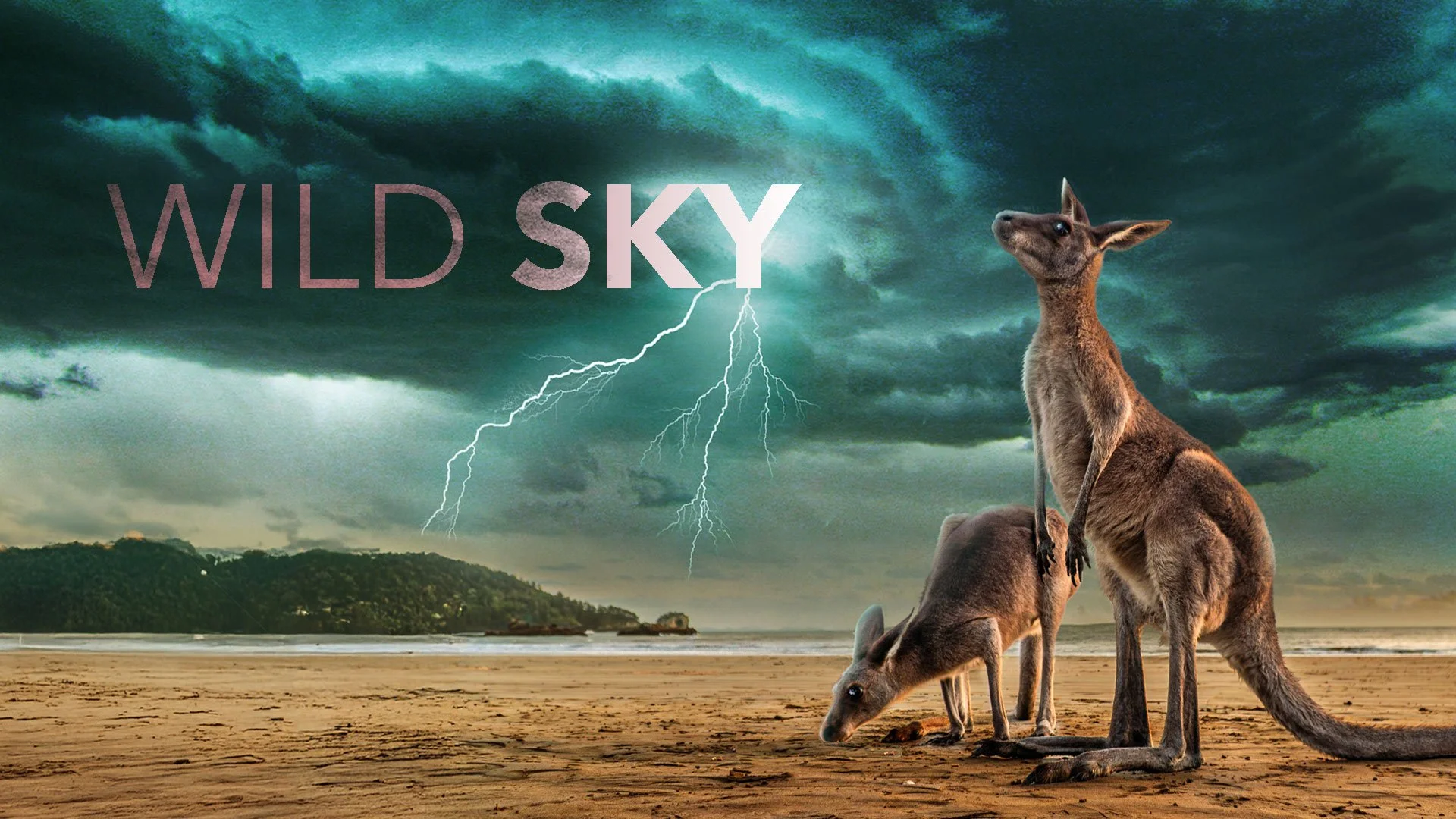 WildBear | Wild Sky - Australian Episode: Camera Operator