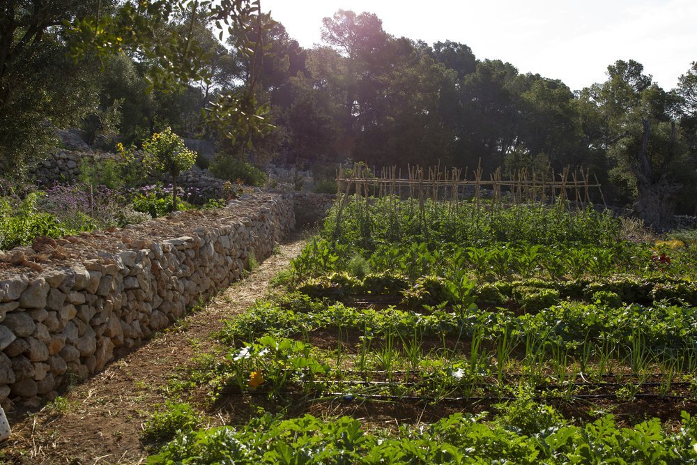 farmedandforaged-Stanta+Ines0077.jpg