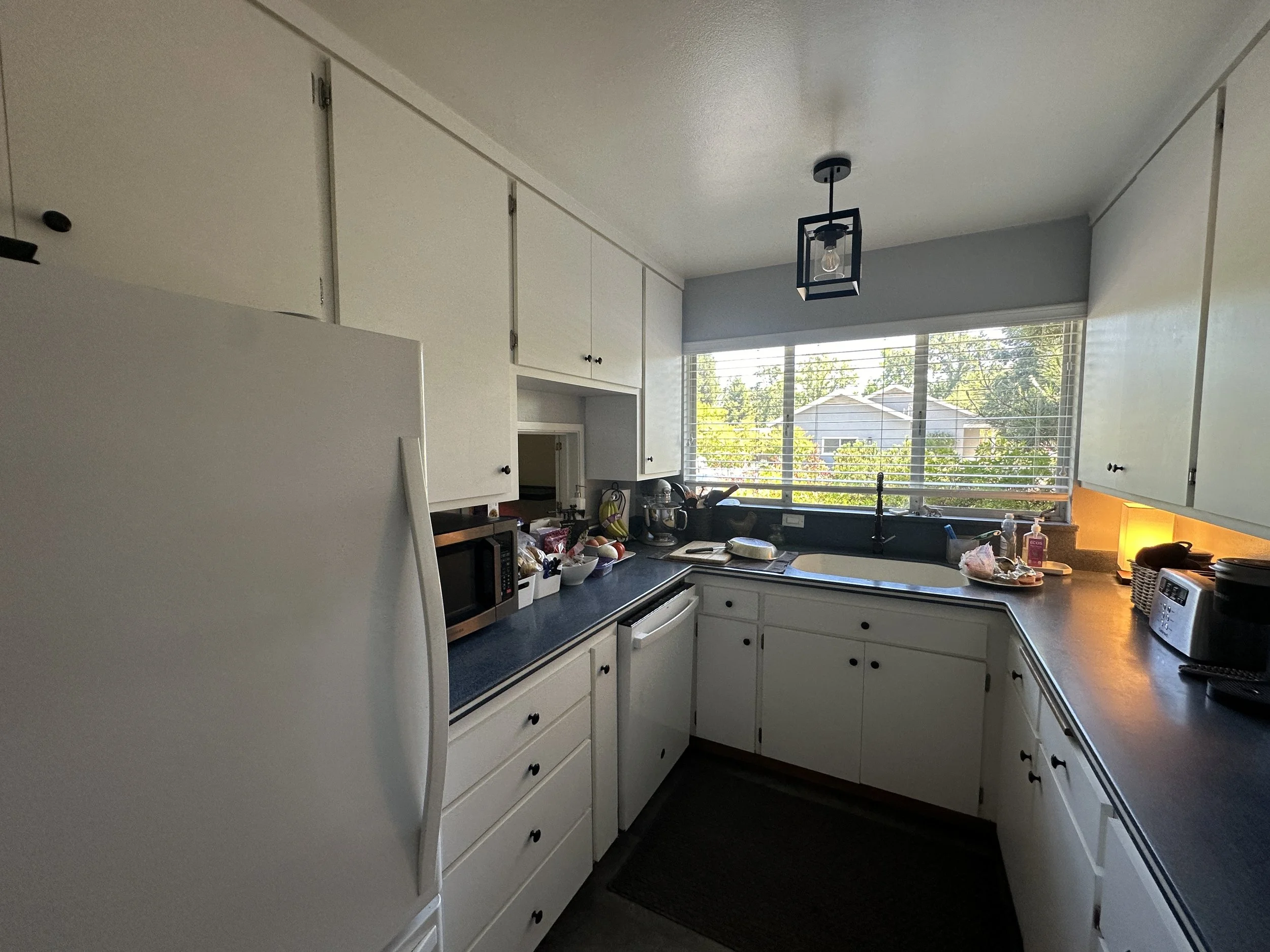 Photo May 19 2024, 3 02 33 PM.jpg