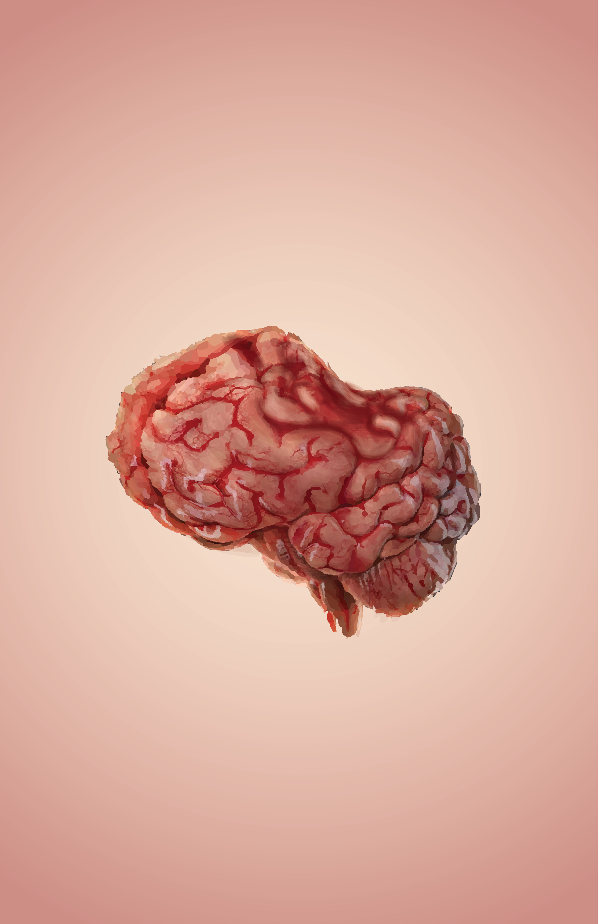 brain-02.png