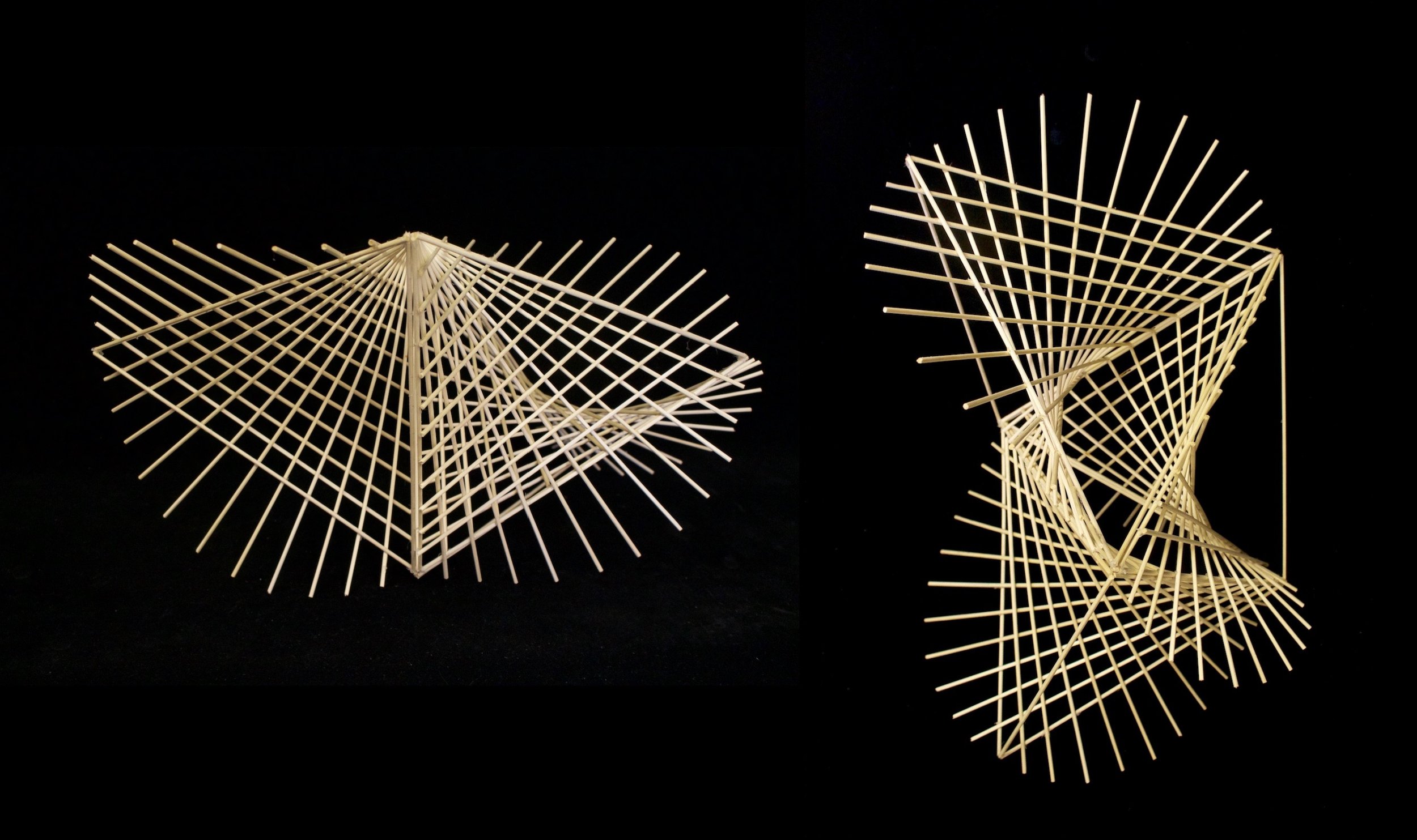06_Uncommon Points of View_36x26x31_wood skewers_.jpeg