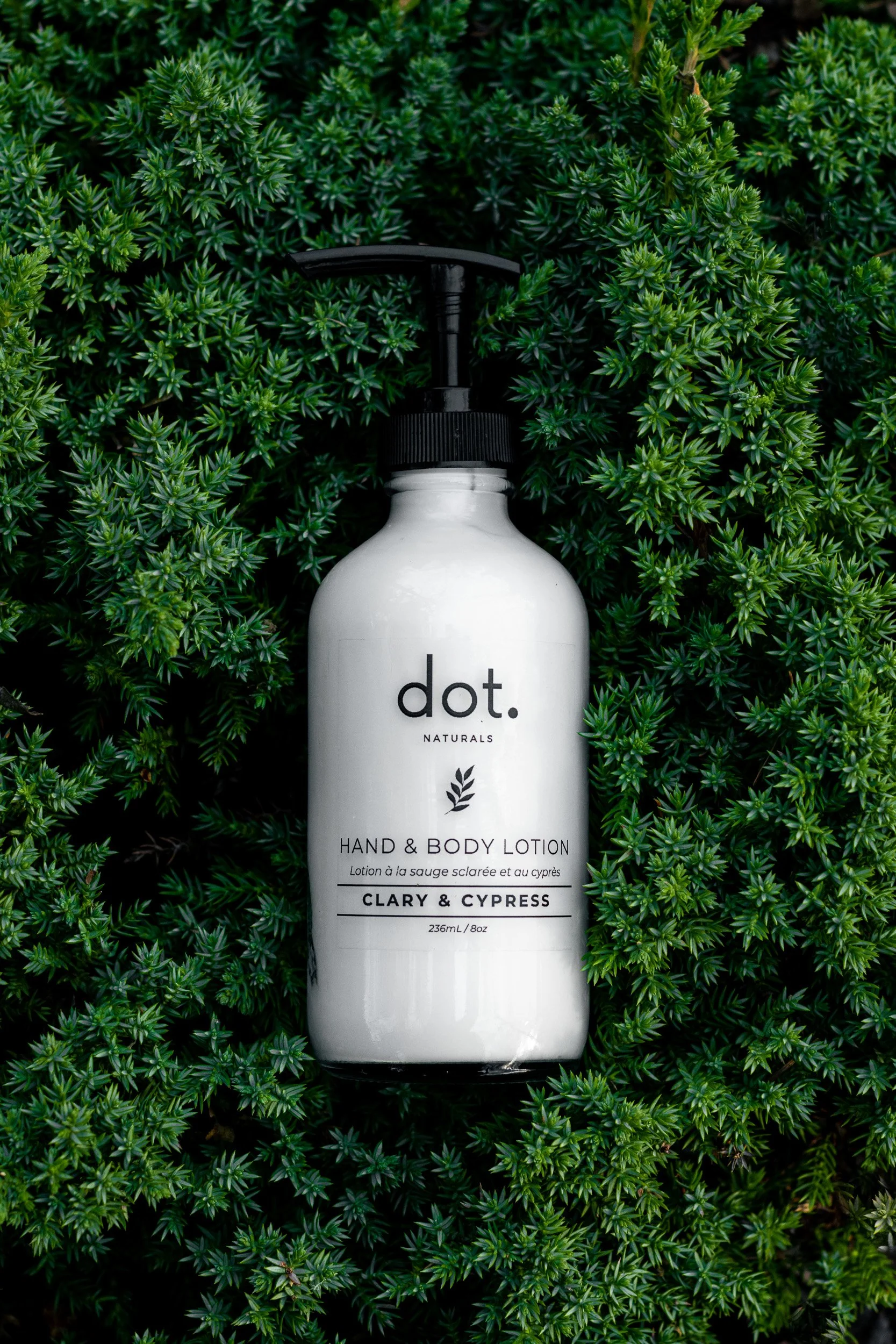 A white bottle of Dot Naturals hand and body lotion with a black pump, placed on green leafy plants.