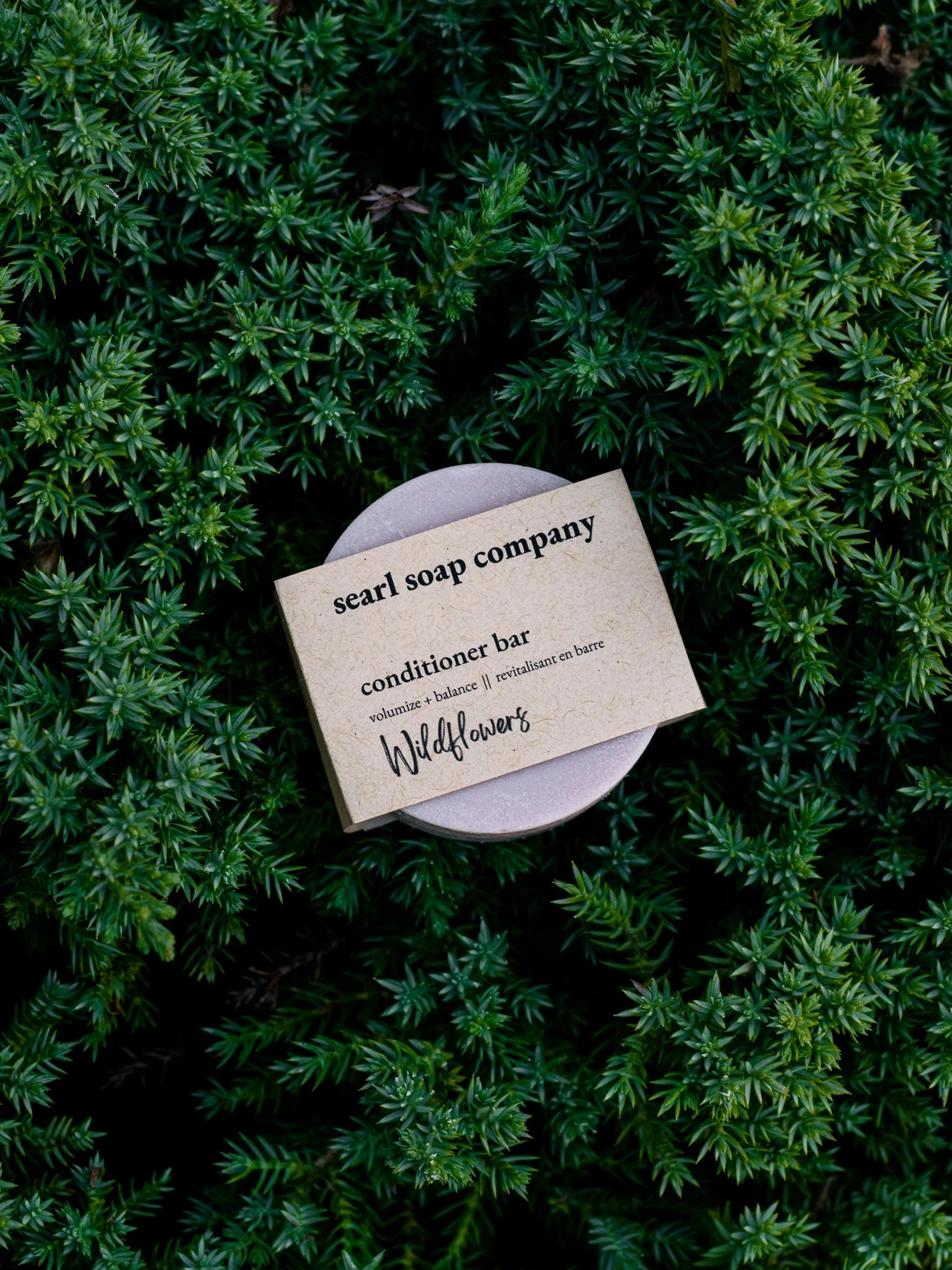 A round soap with a paper label on it, placed on green foliage. The label reads 'searl soap company, conditioner bar, Wildflowers'. Product photography for skincare in Cowichan Valley.