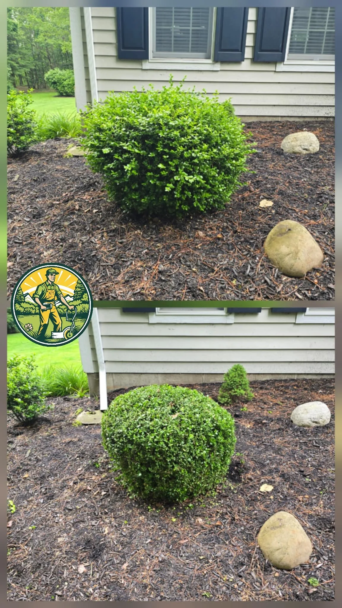 35c0f36e-e257-44c6-b9cc-e4adbb110366 (1).jpg