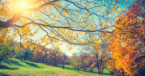 Fall Reset Without the Pressure: Gentle Goal-Setting for Mental Health