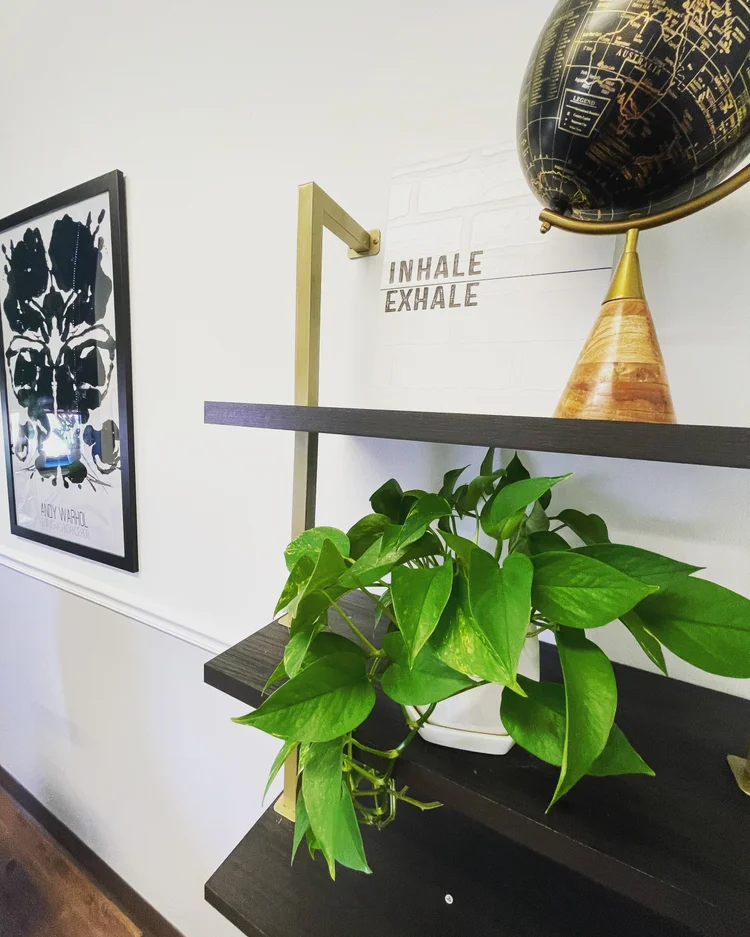 Ashé Counseling and Coaching office decor with plant, art, and globe