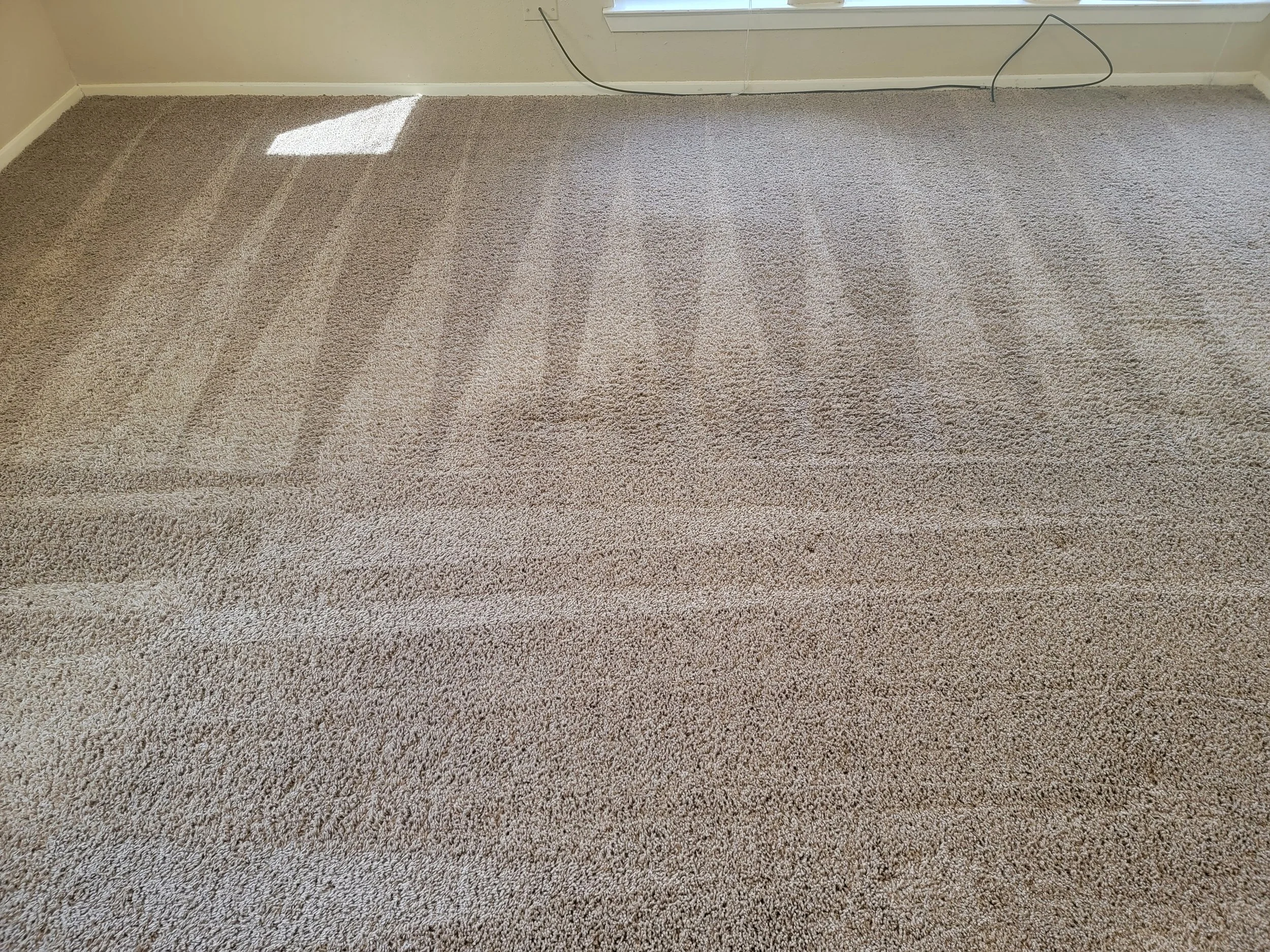 20211022_111658 2.JPG