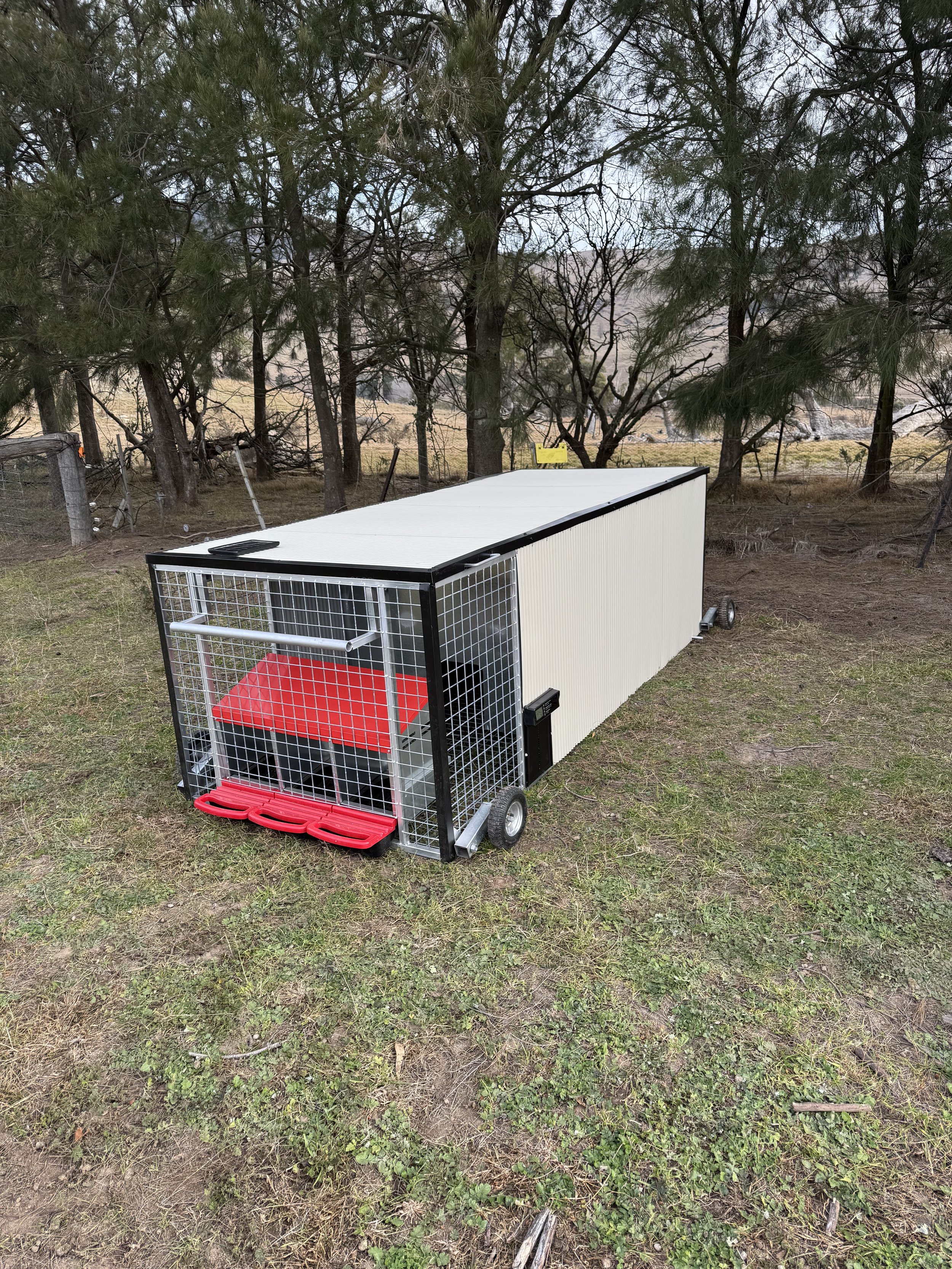 3M CHICKEN CARAVAN