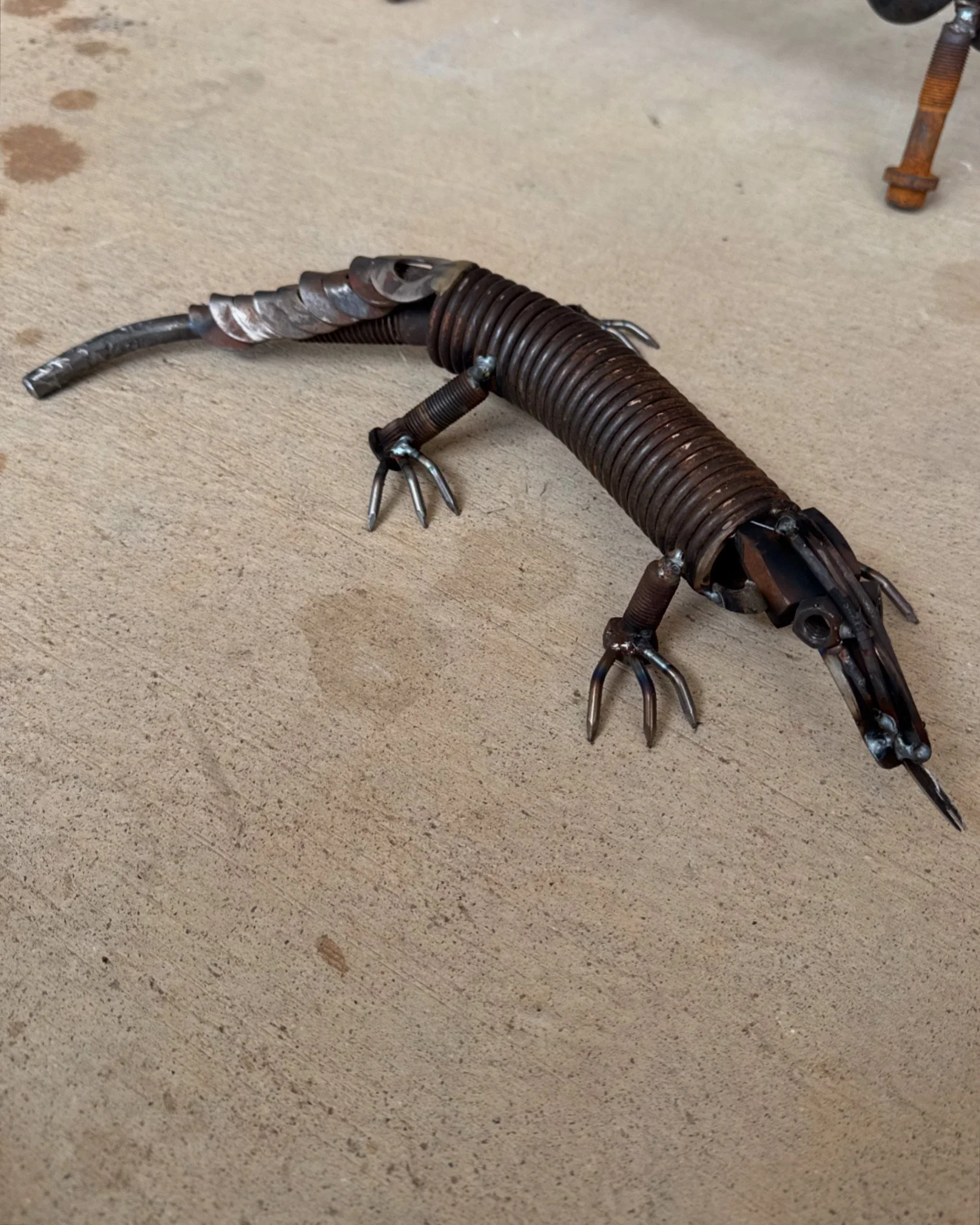 lizard