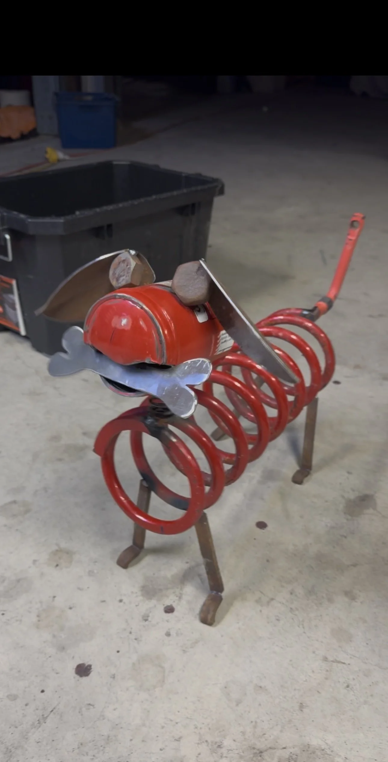 red spring dog