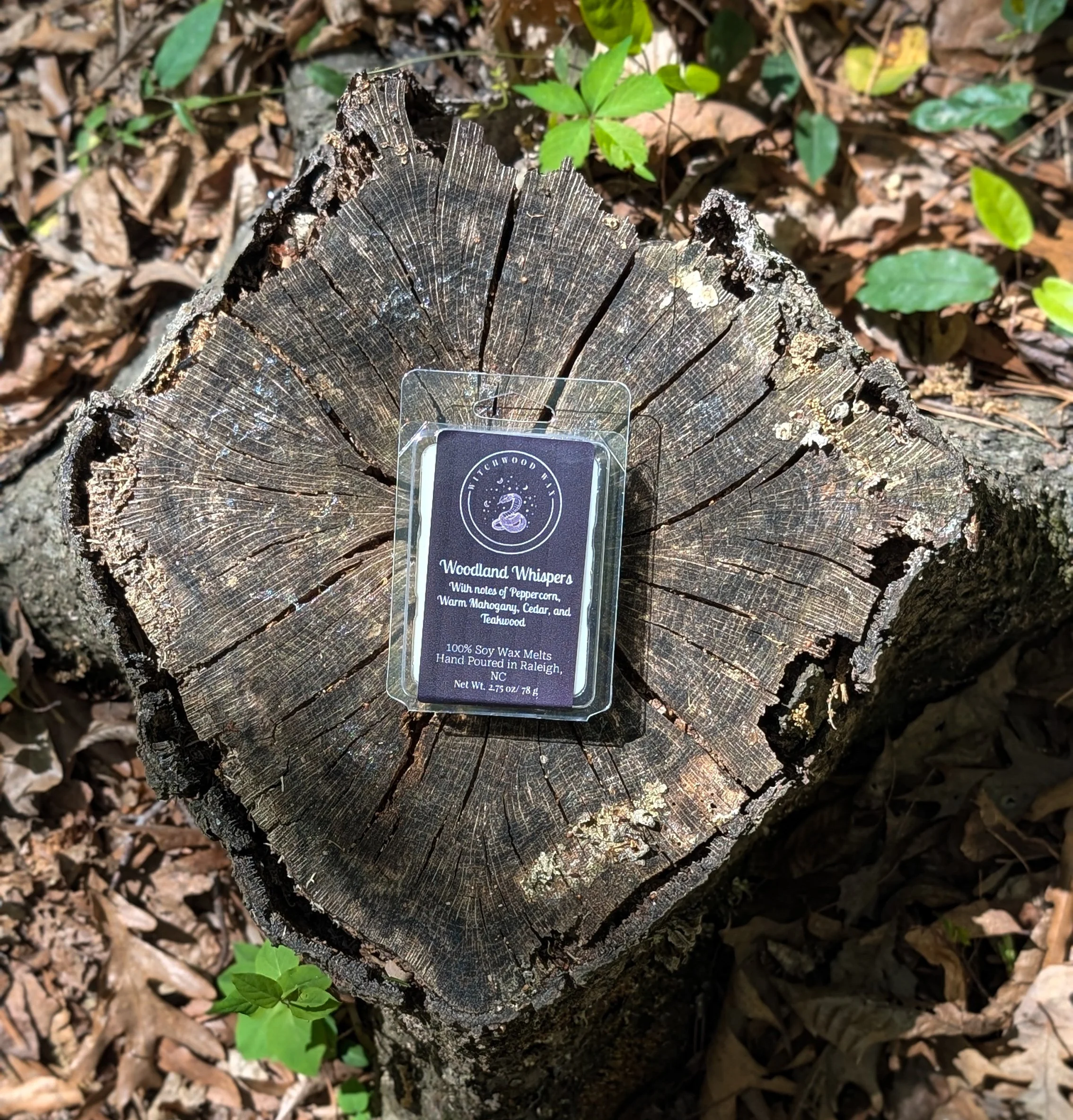 PXL_20260404_160755064.PORTRAIT (1).JPG