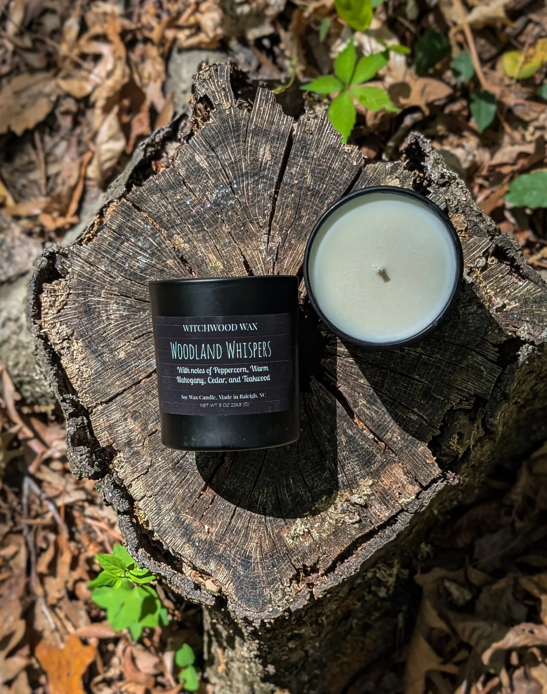 Woodland Whispers 8oz Candle