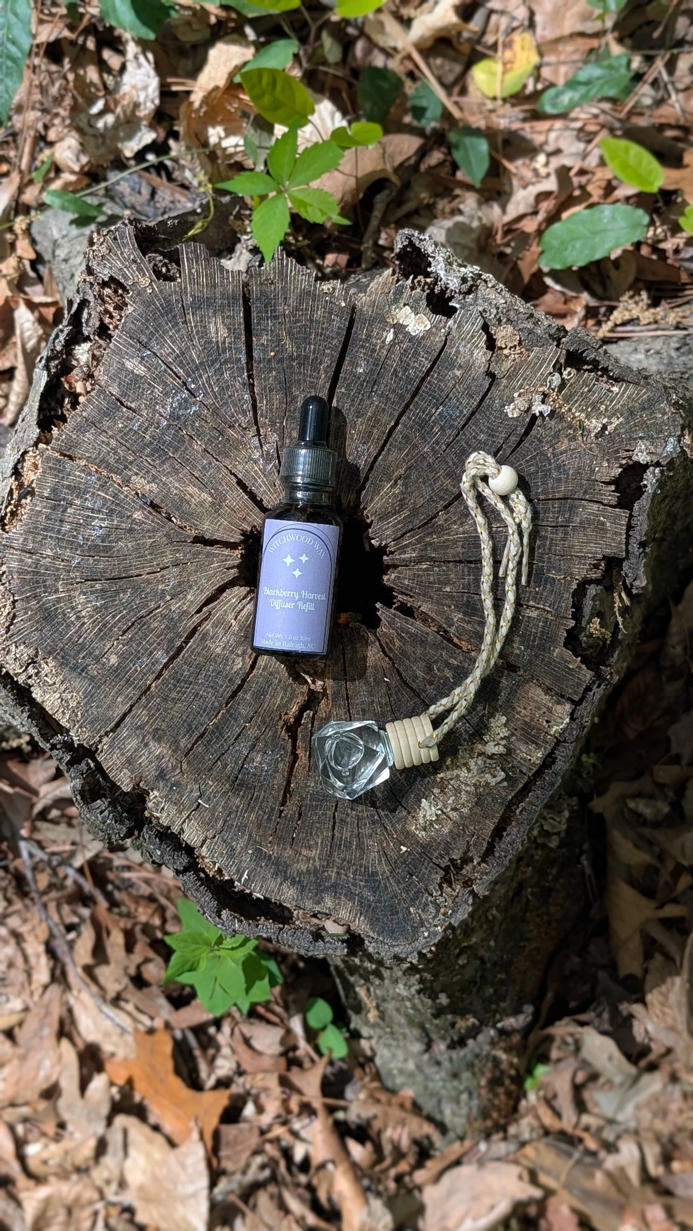 Blackberry Harvest Diffuser Refill
