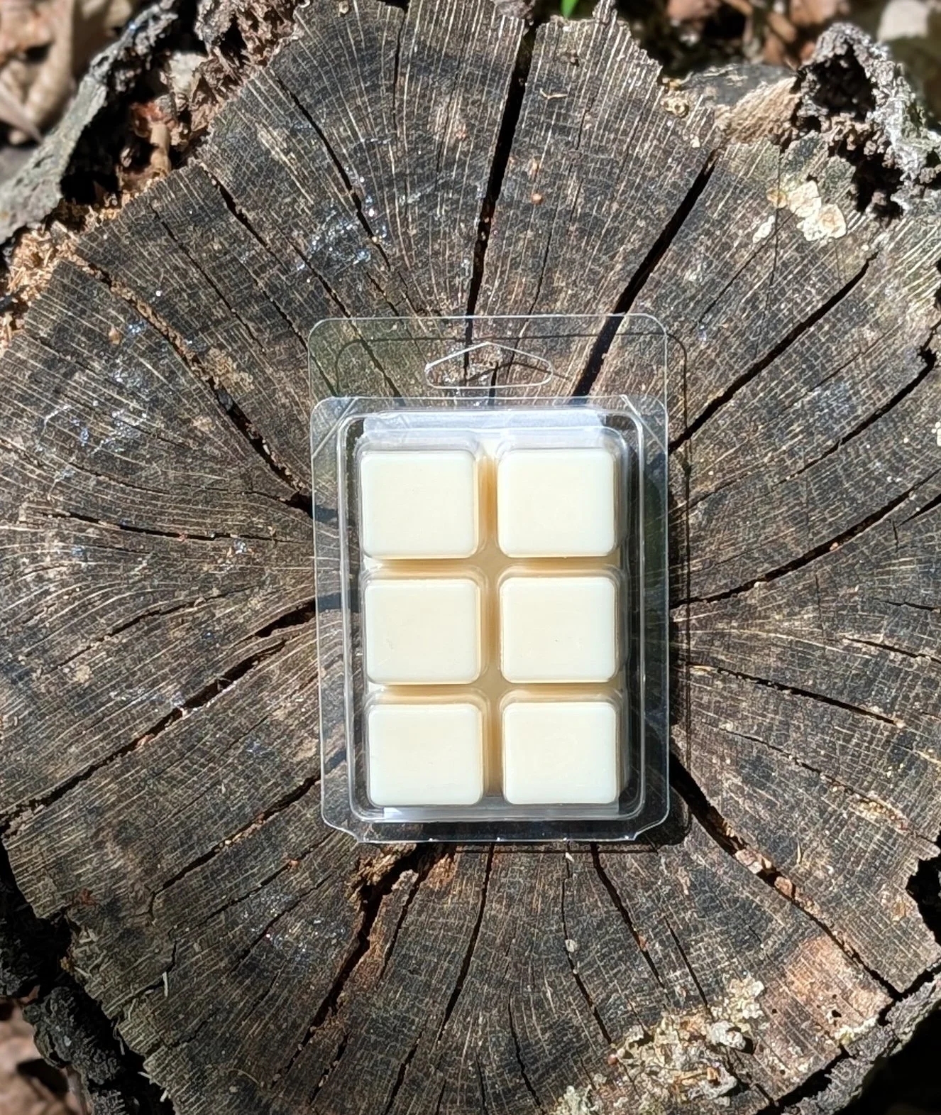 PXL_20260404_160826179.PORTRAIT (1).JPG