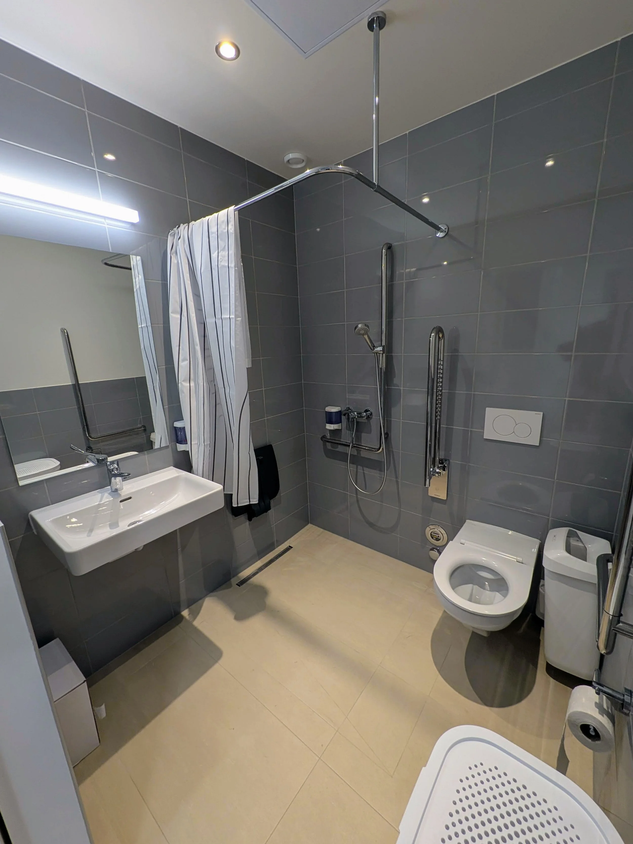 disability access bathroom