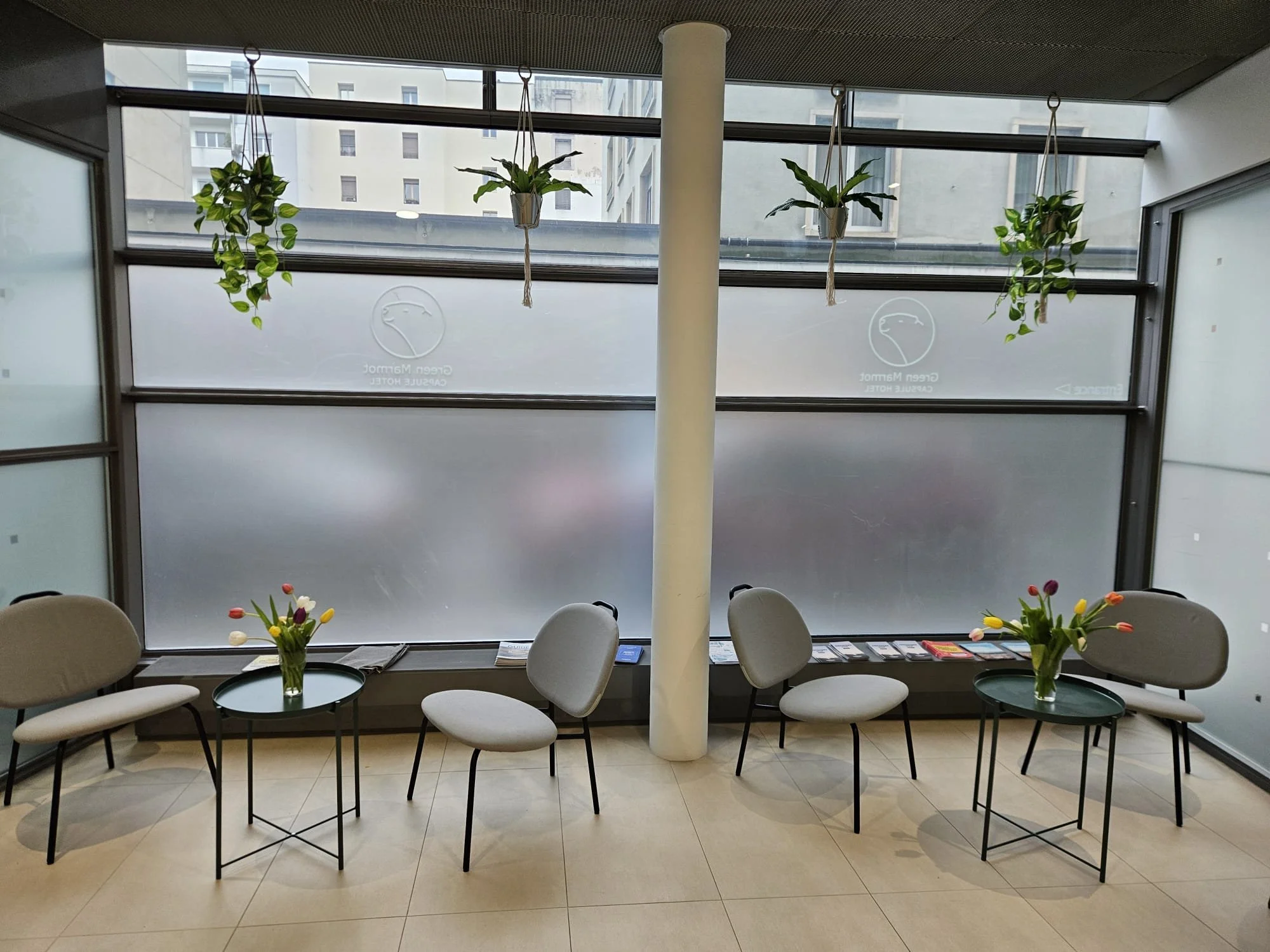 WhatsApp Image 2026-04-03 at 15.45.55.jpeg