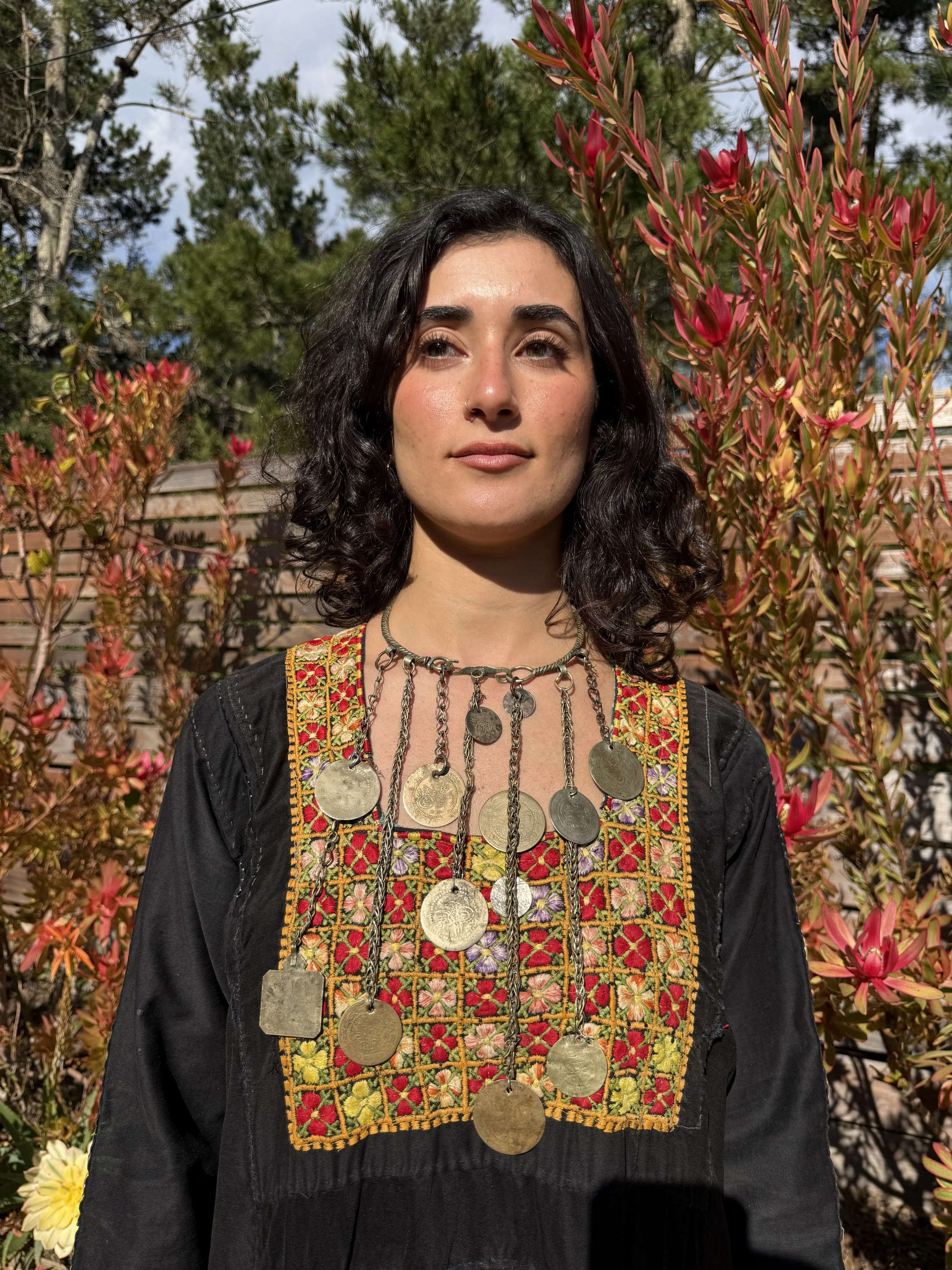 The Antique Silver Palestinian - Syrian Bughma (Choker)