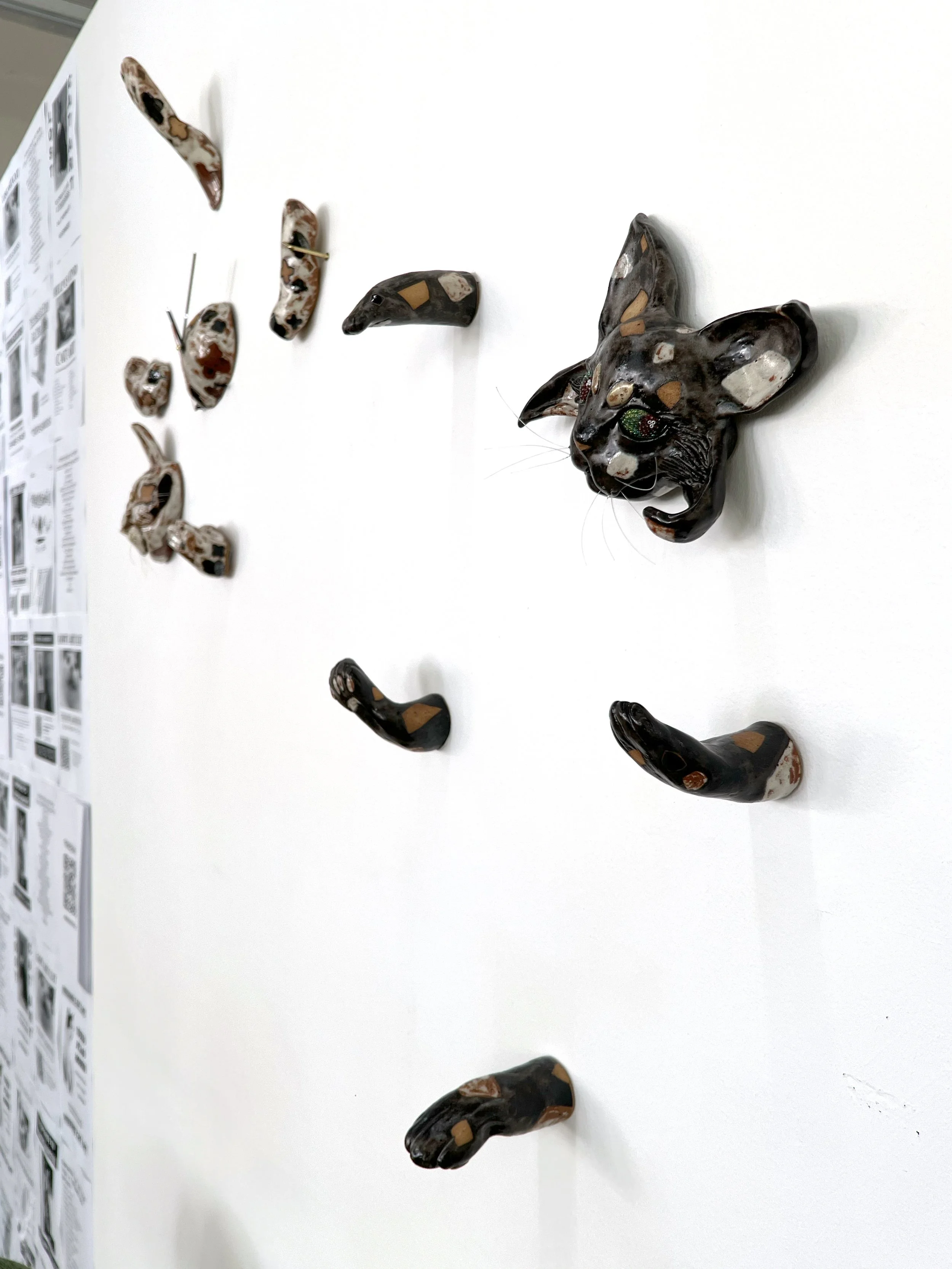 TOXOPLASMOSIS-TOKONOMA-07.jpg