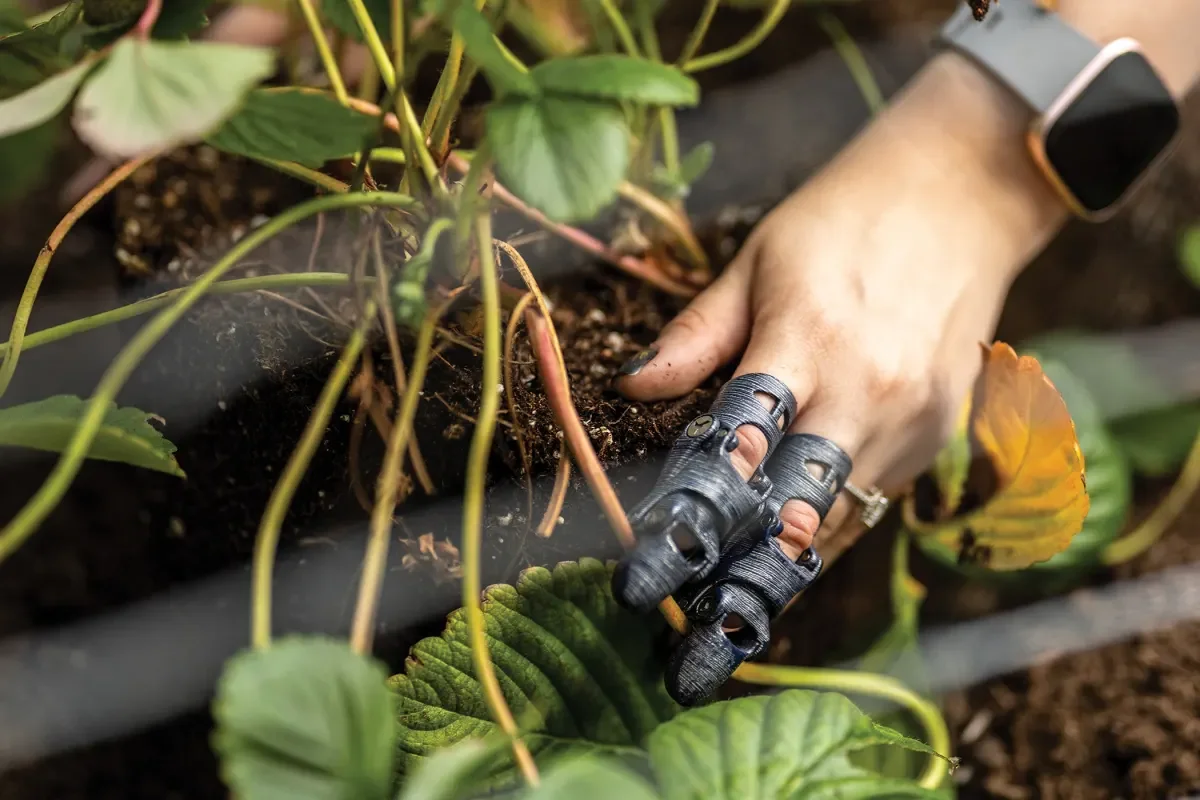 Finger Prostheses: A Comprehensive Guide for New Users&nbsp;