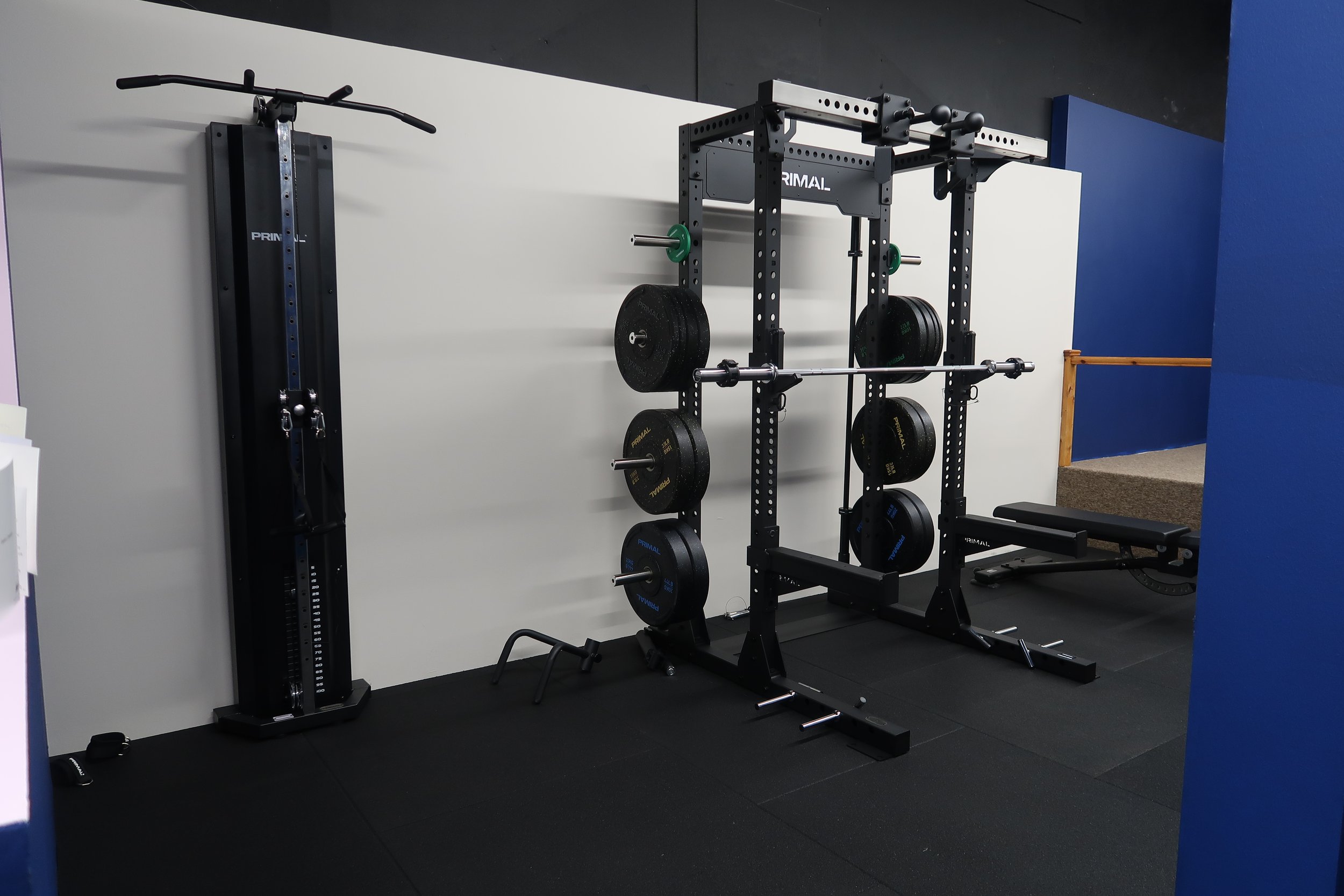 Fitness studio/Gym equipment including a power rack with weight plates, a pull-up bar, and a bench for group exercise and personal training.