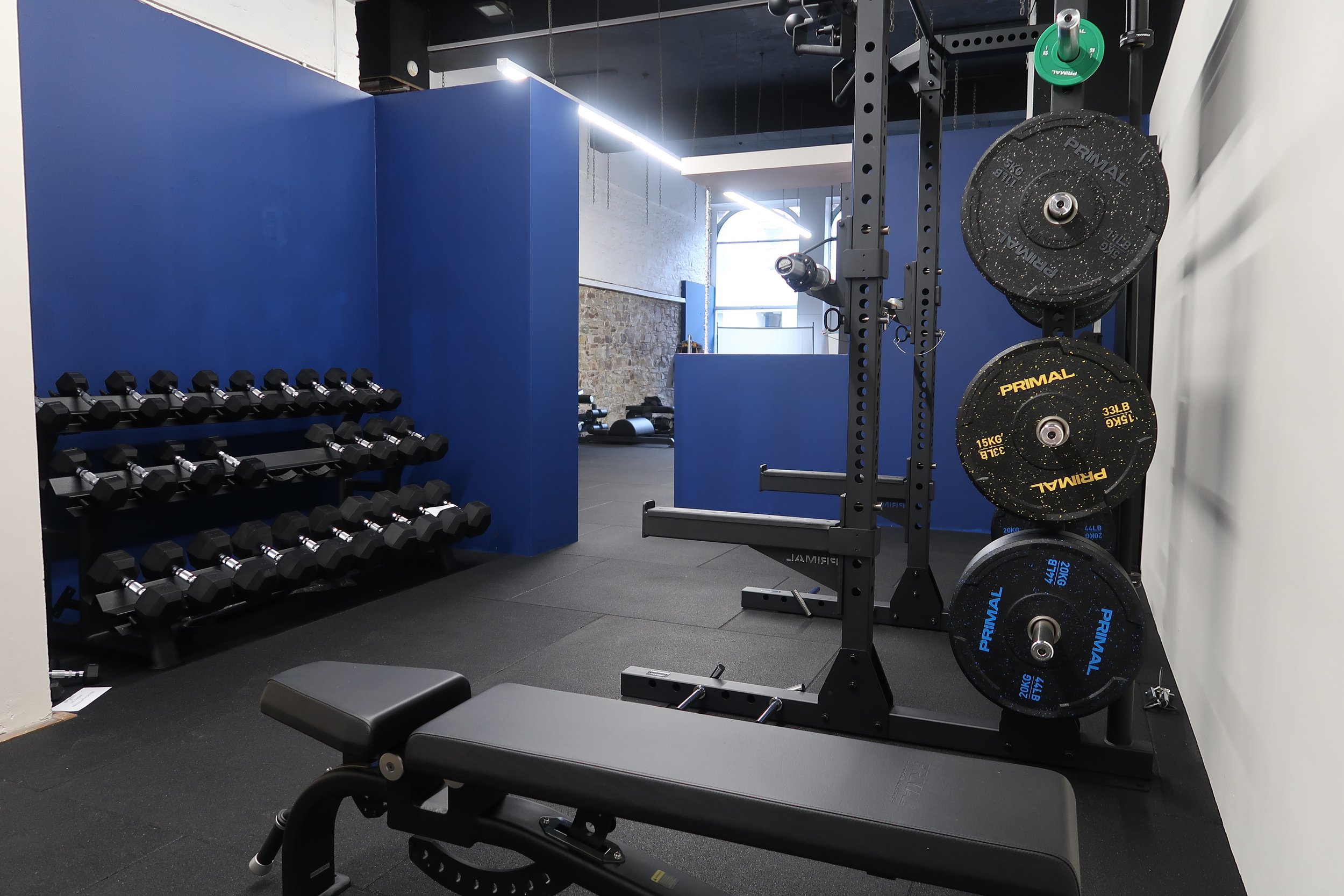 Fitness studio/Gym equipment including a weight bench, a rack of dumbbells, and squat rack, set in a modern fitness space.