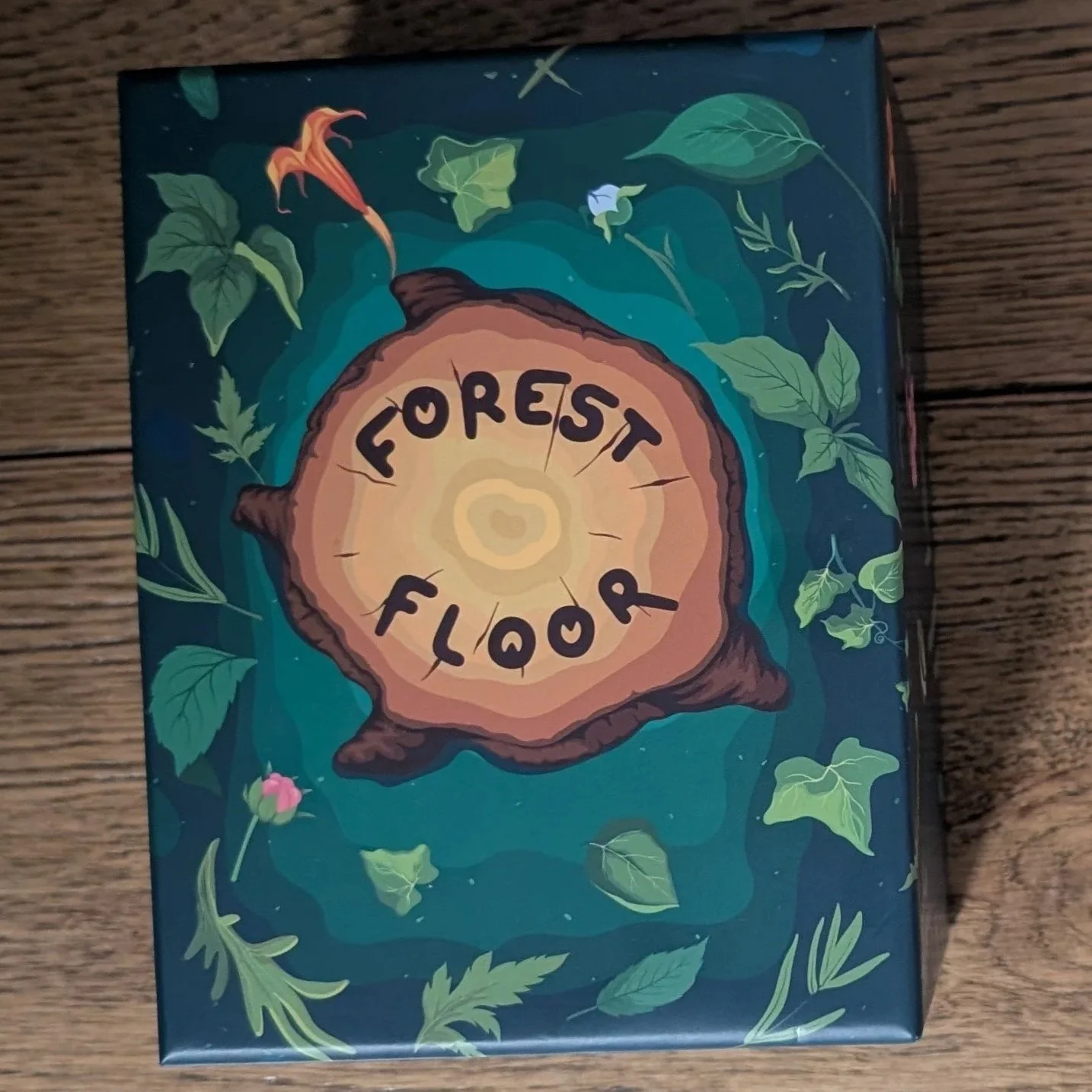Forest Floor Game