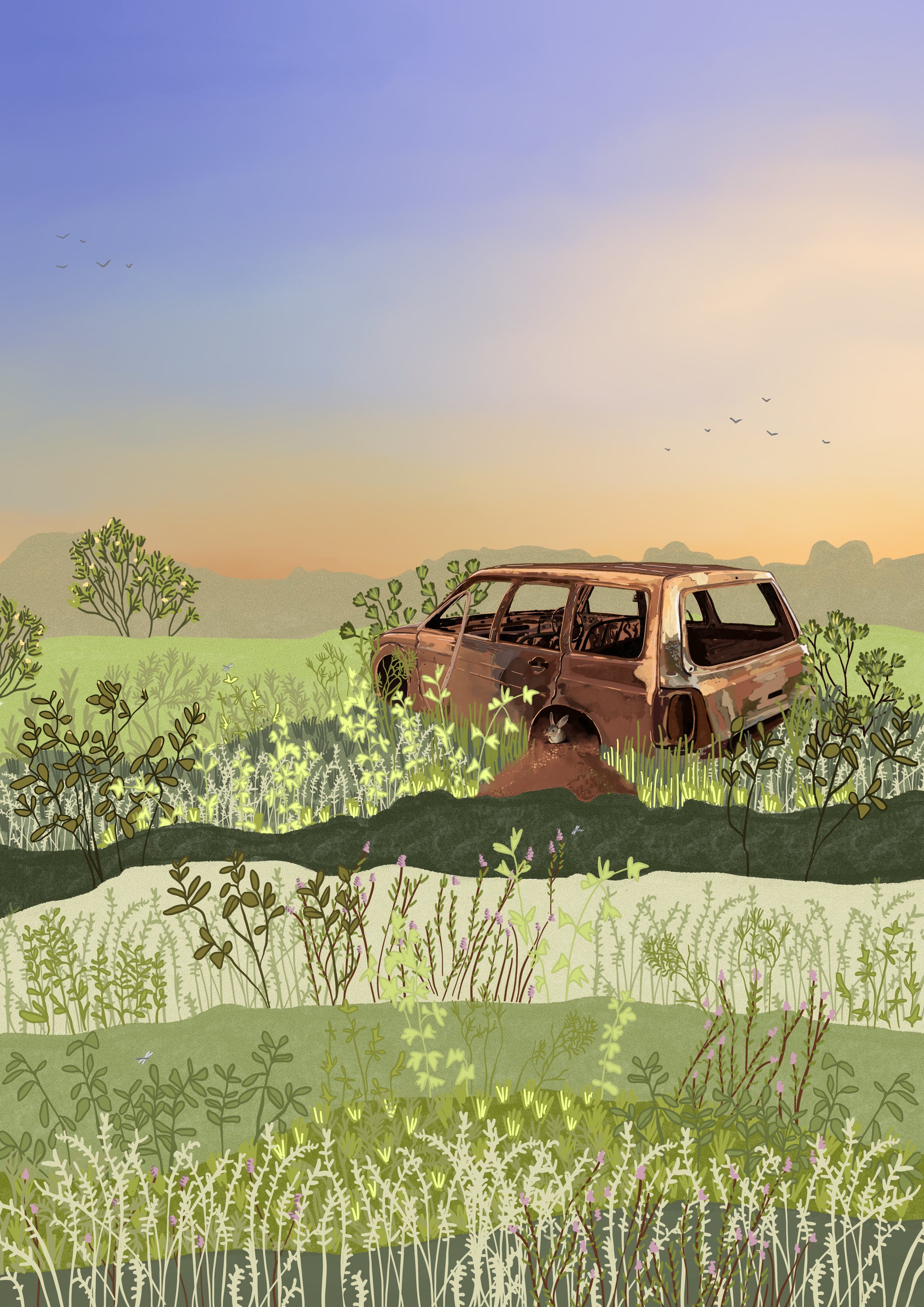 Life in the Pindan, selected illustration for  Pat Low publication 