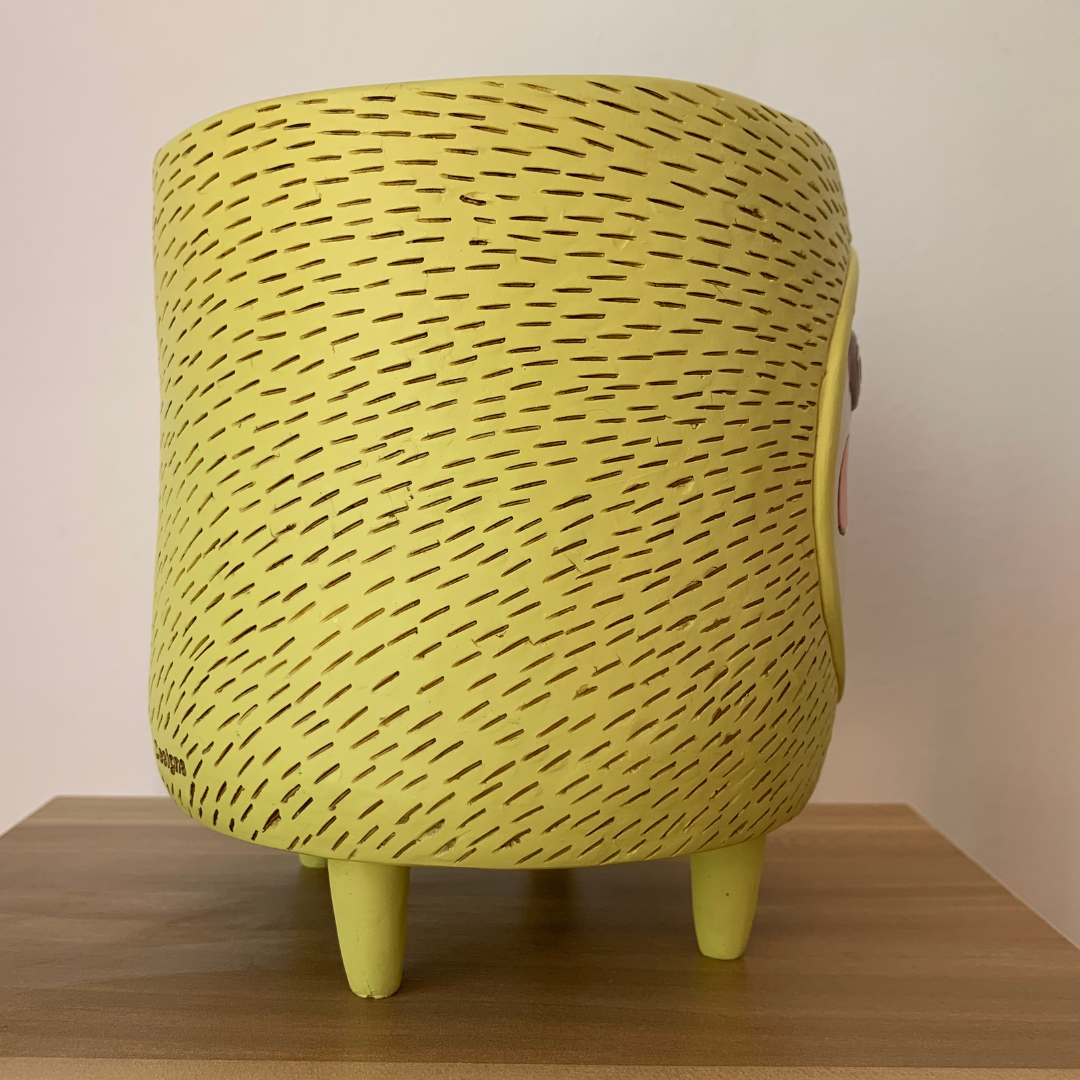Michelle Allen Designs Sun Planter (6).png