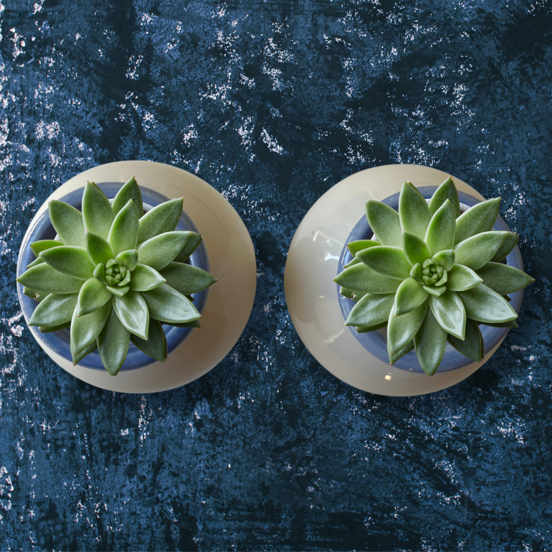 Mini Delft-Style Floral Bud Vases (2).png