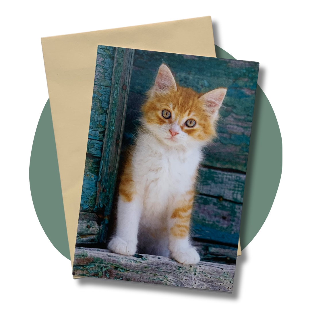 Blank Card: Ginger Kitty