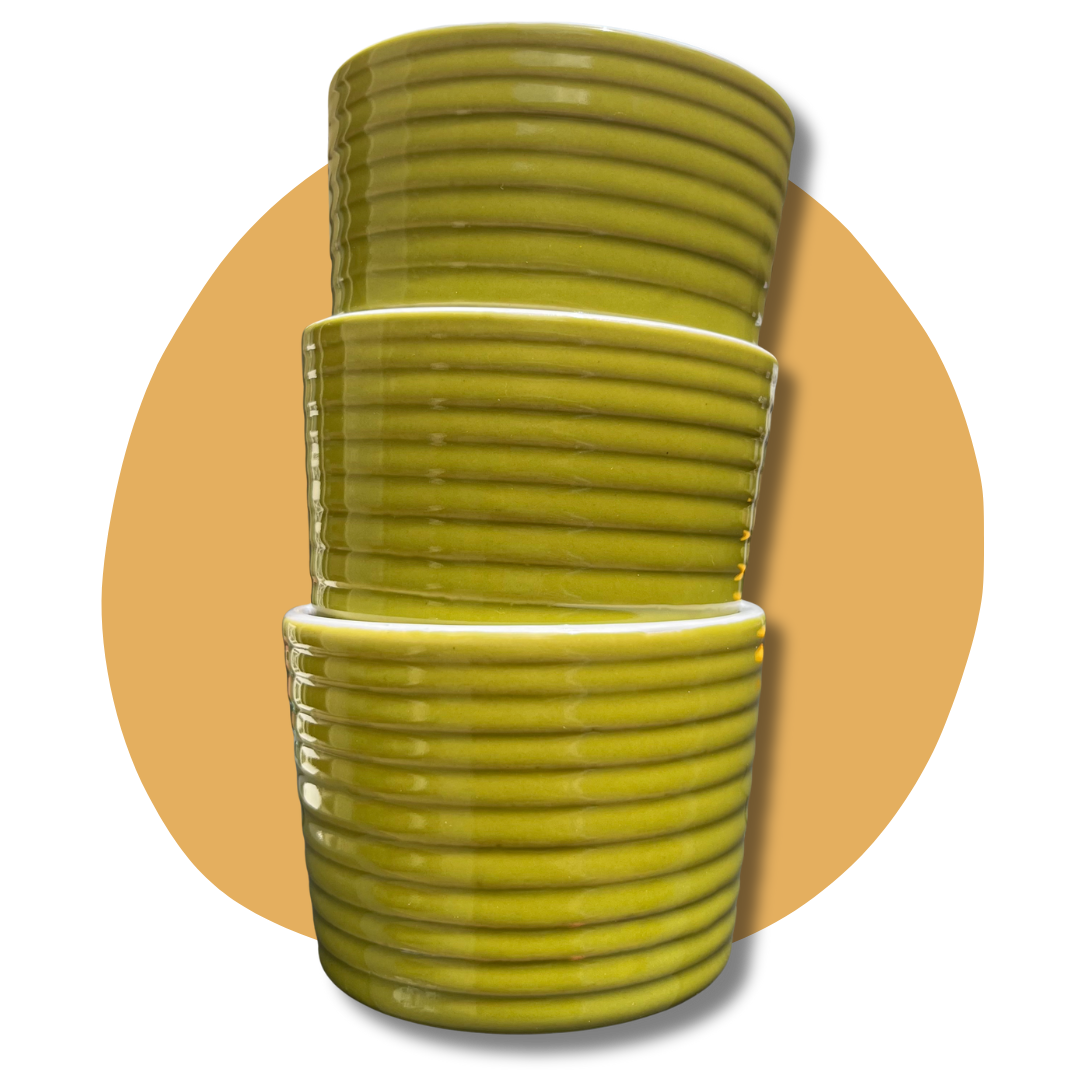 Retro Green Ramekins